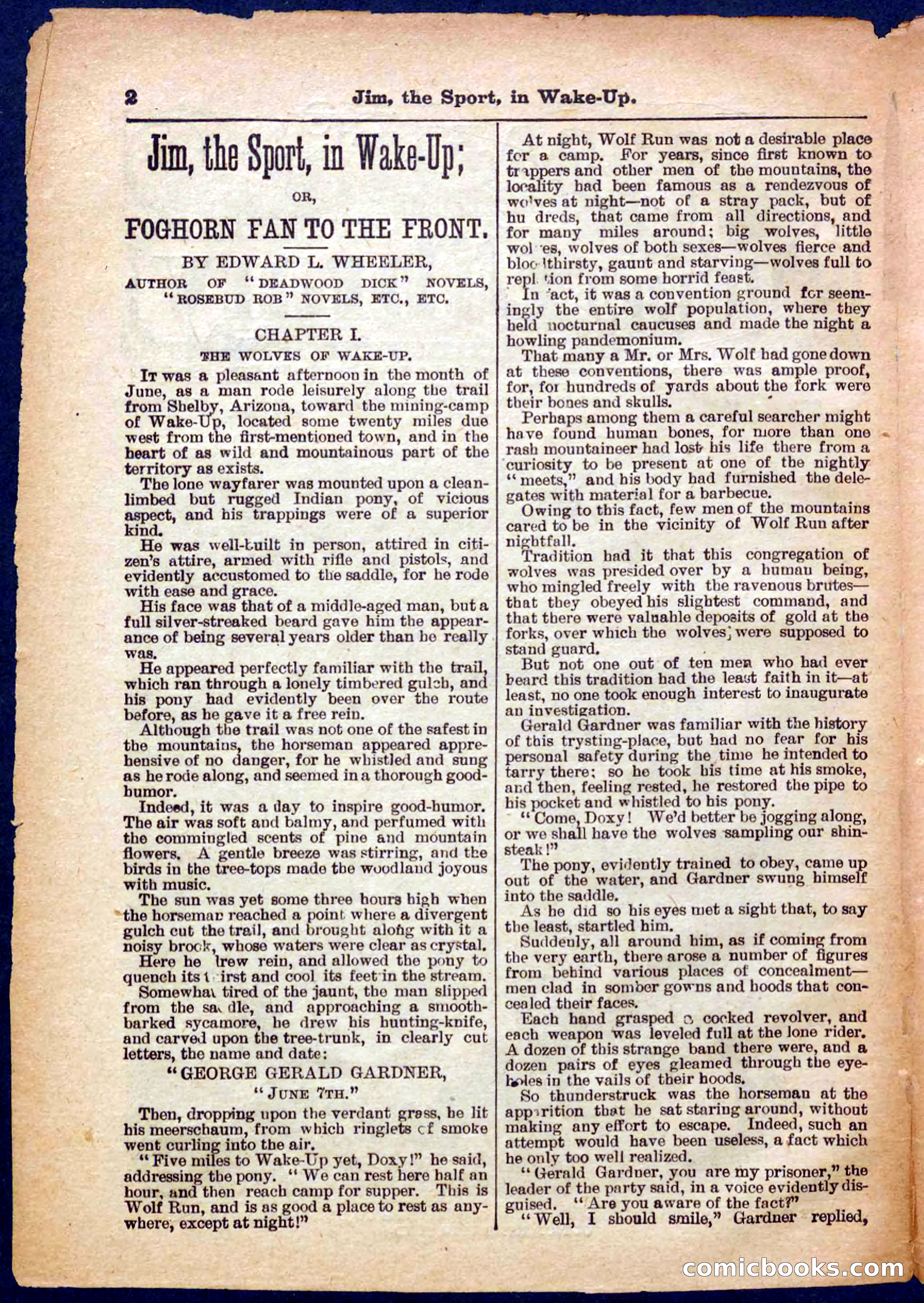 Beadle's Pocket Library No. 368 — page 2 of 32