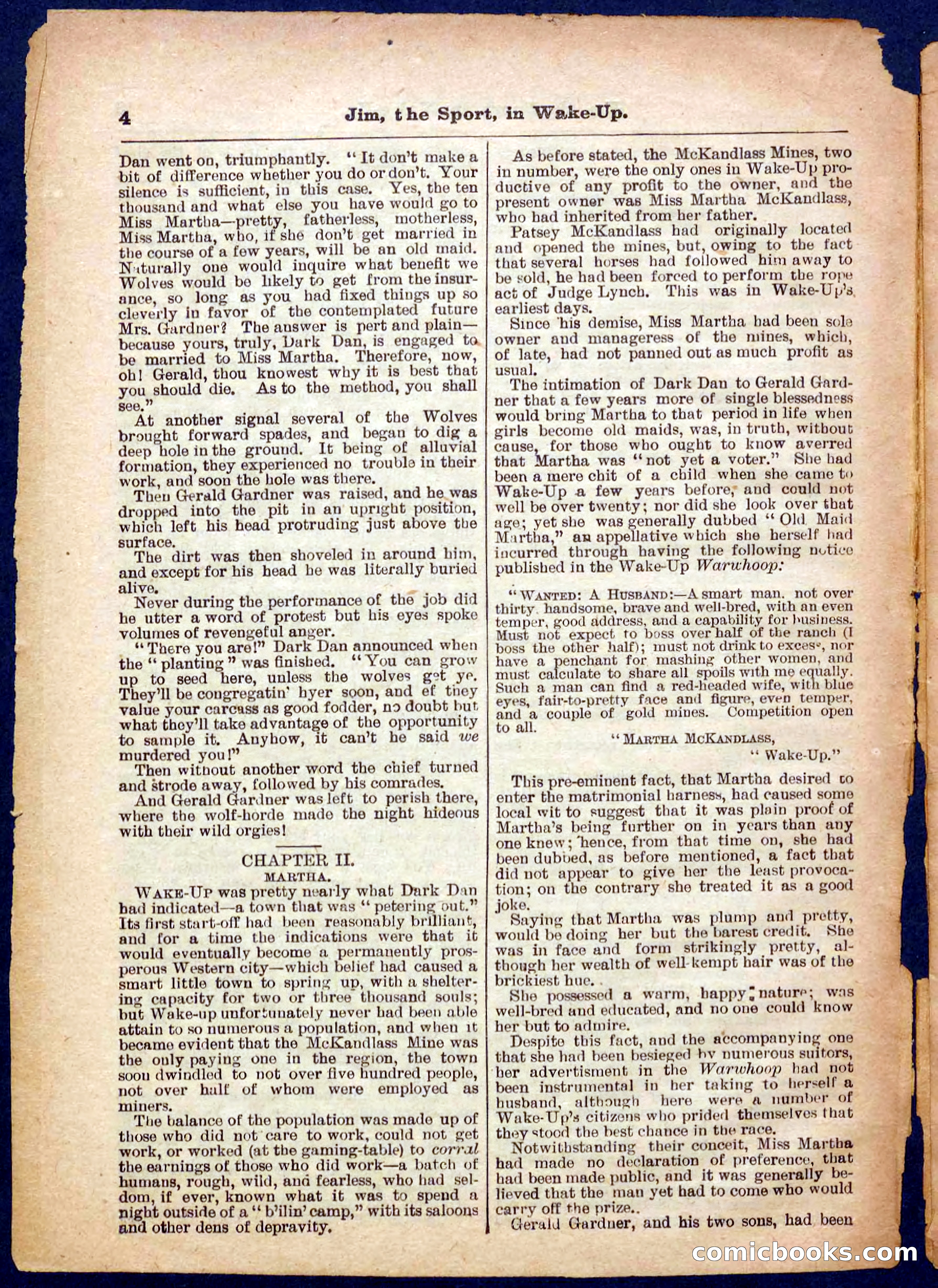 Beadle's Pocket Library No. 368 — page 4 of 32