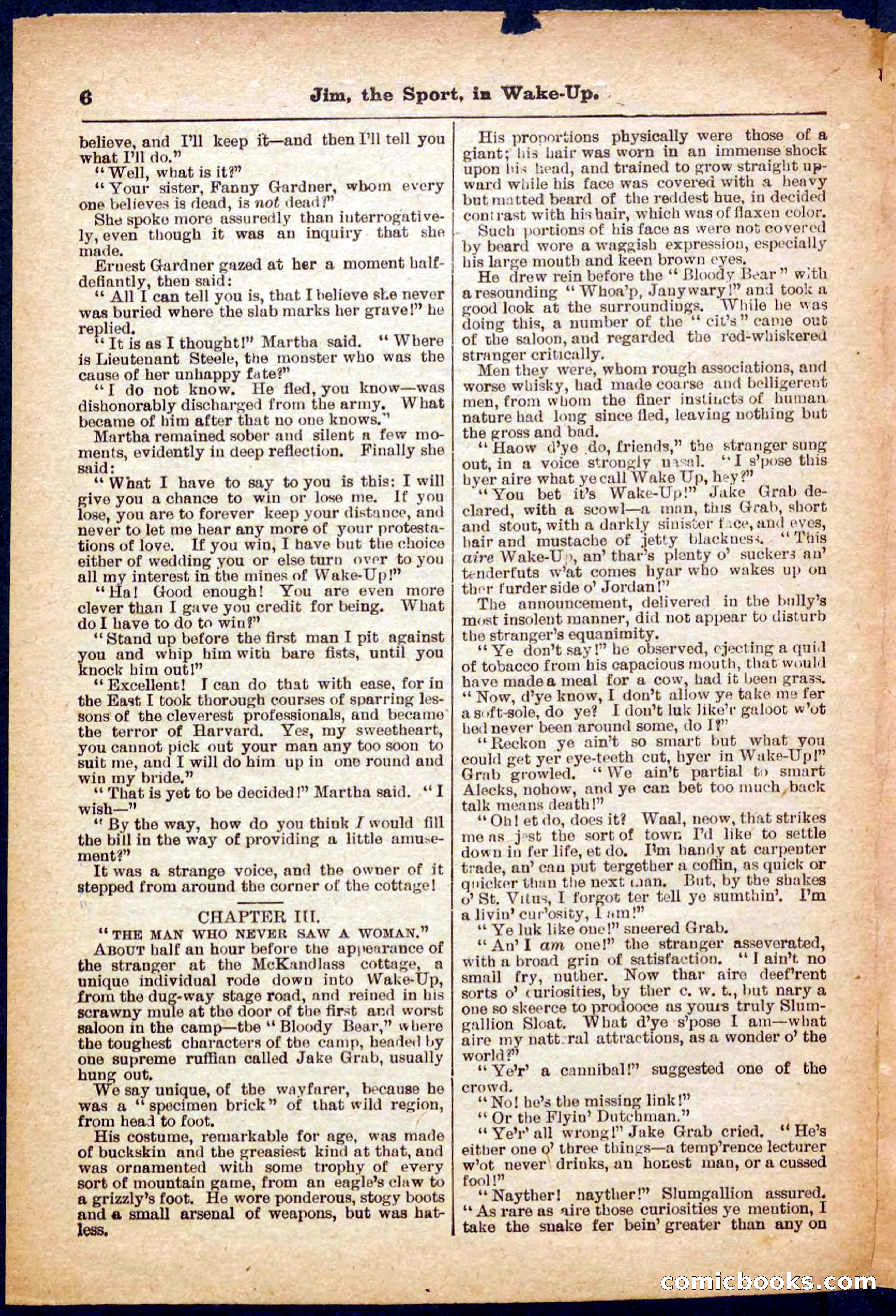 Beadle's Pocket Library No. 368 — page 6 of 32