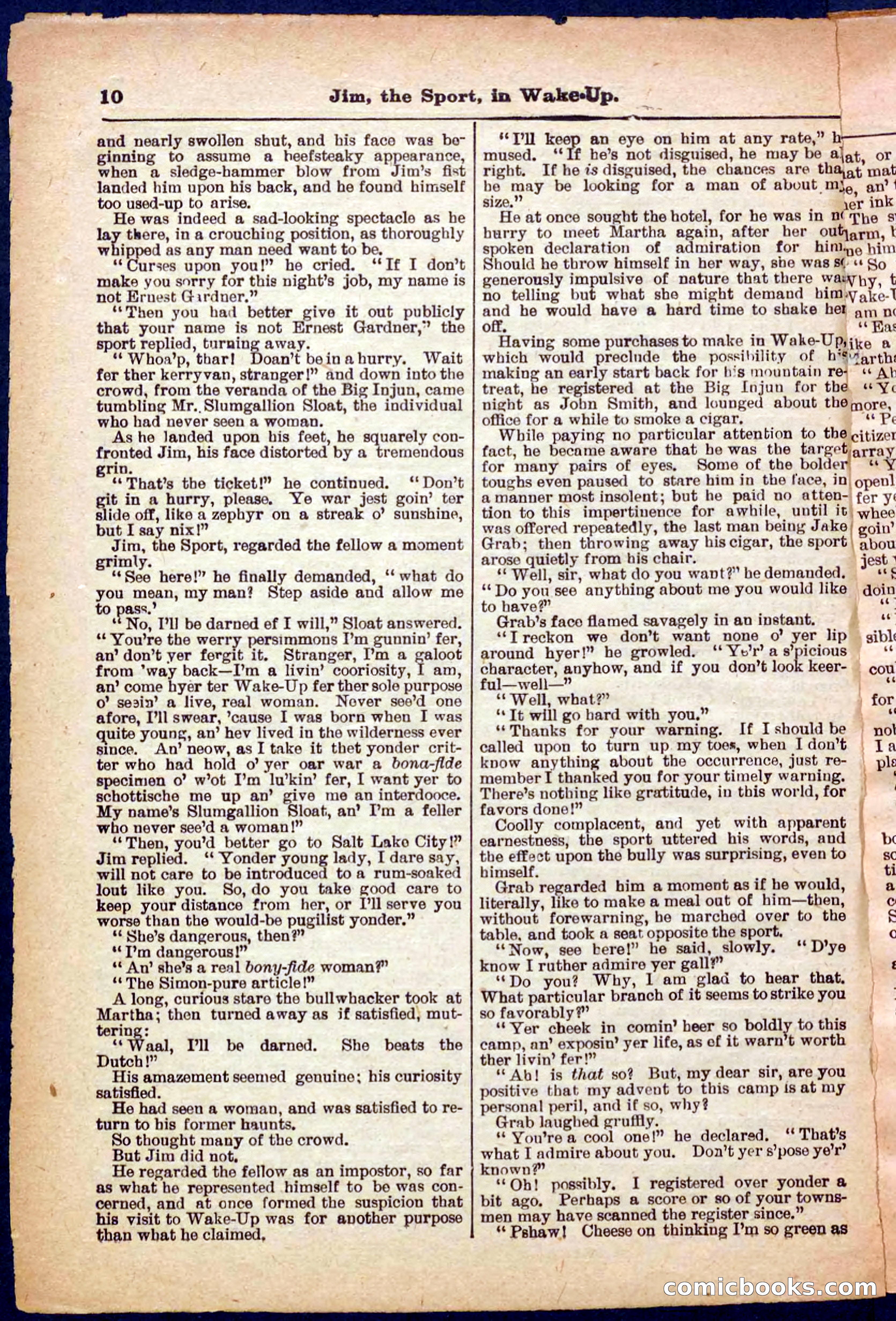Beadle's Pocket Library No. 368 — page 10 of 32