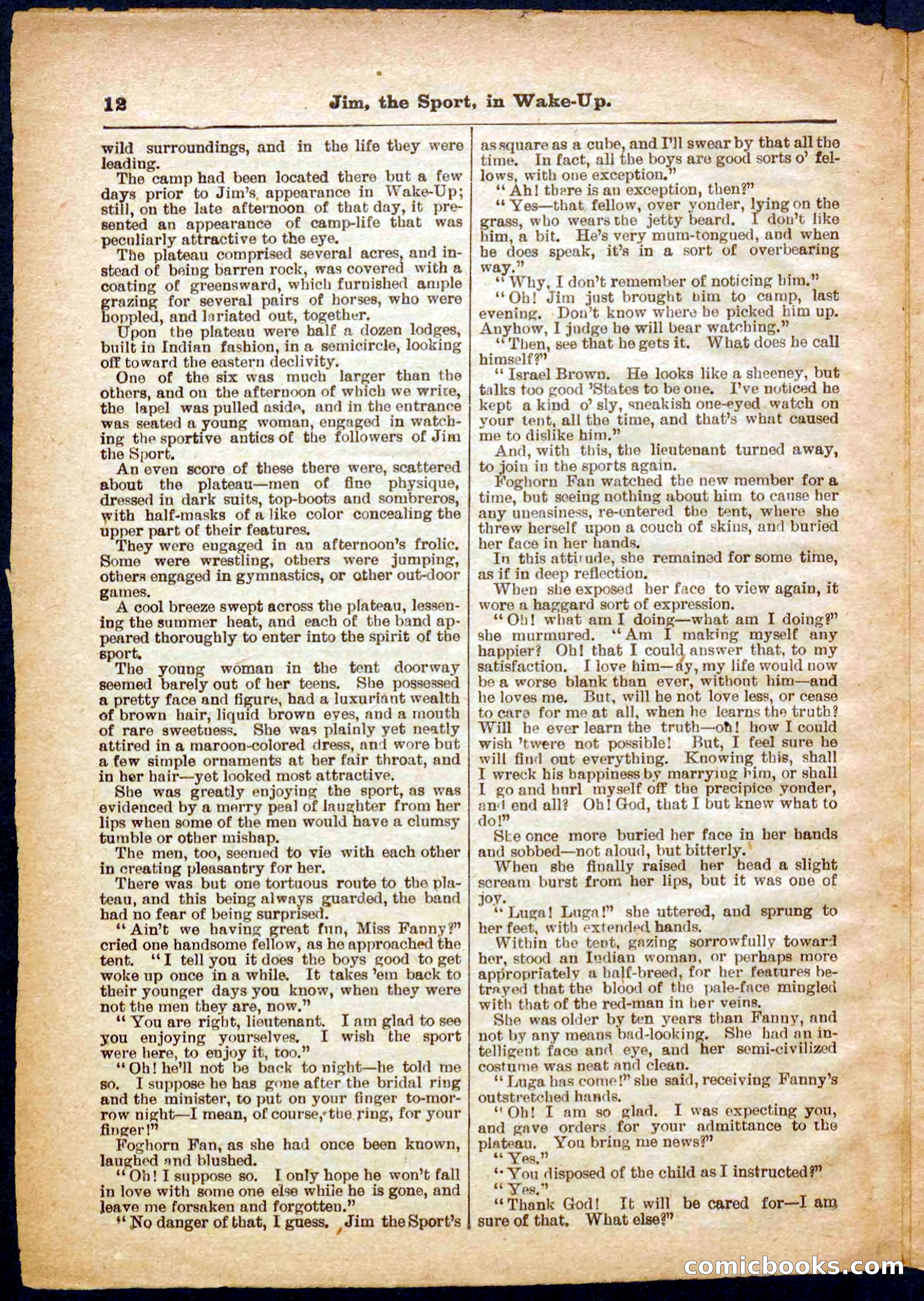 Beadle's Pocket Library No. 368 — page 12 of 32
