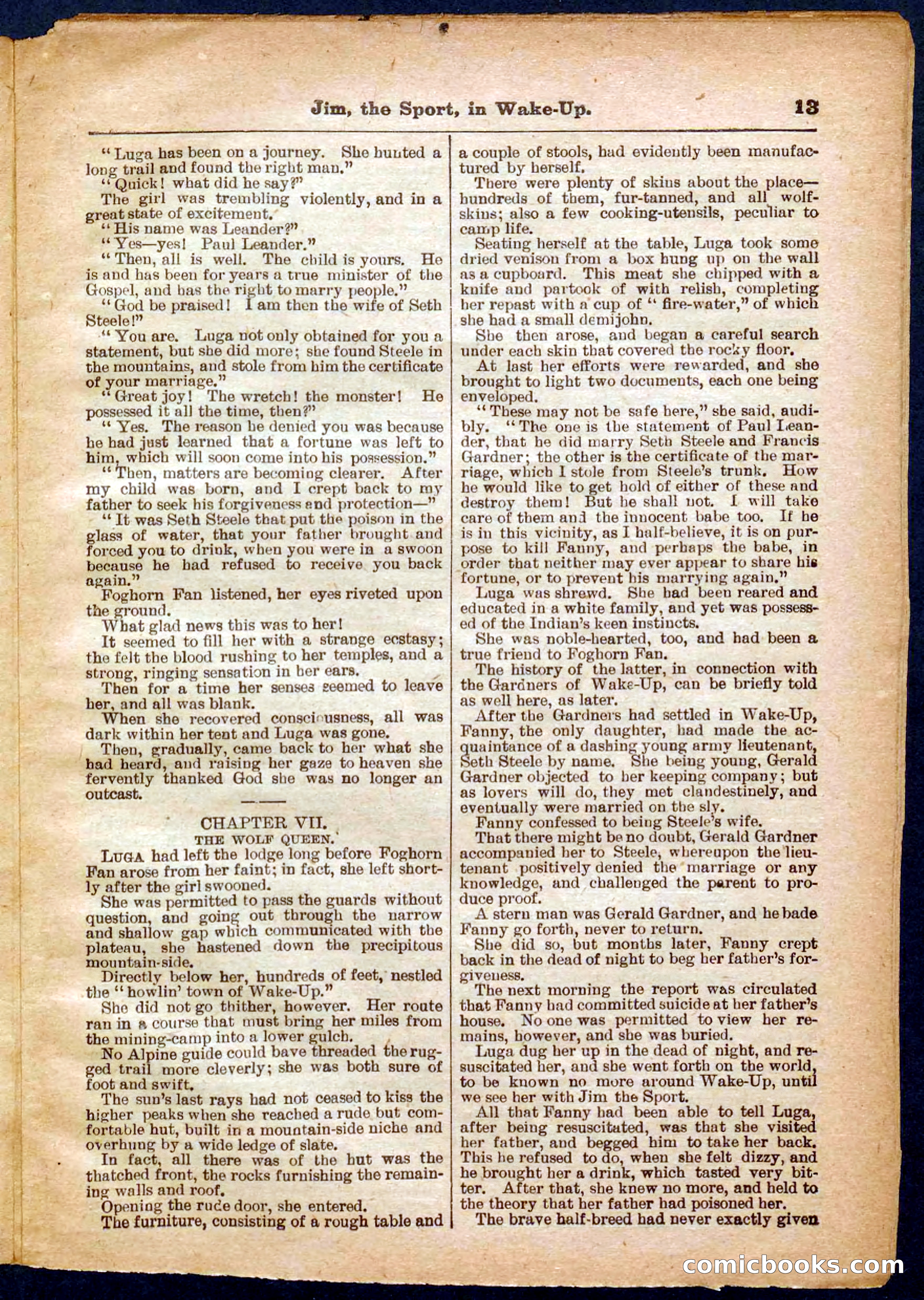Beadle's Pocket Library No. 368 — page 13 of 32