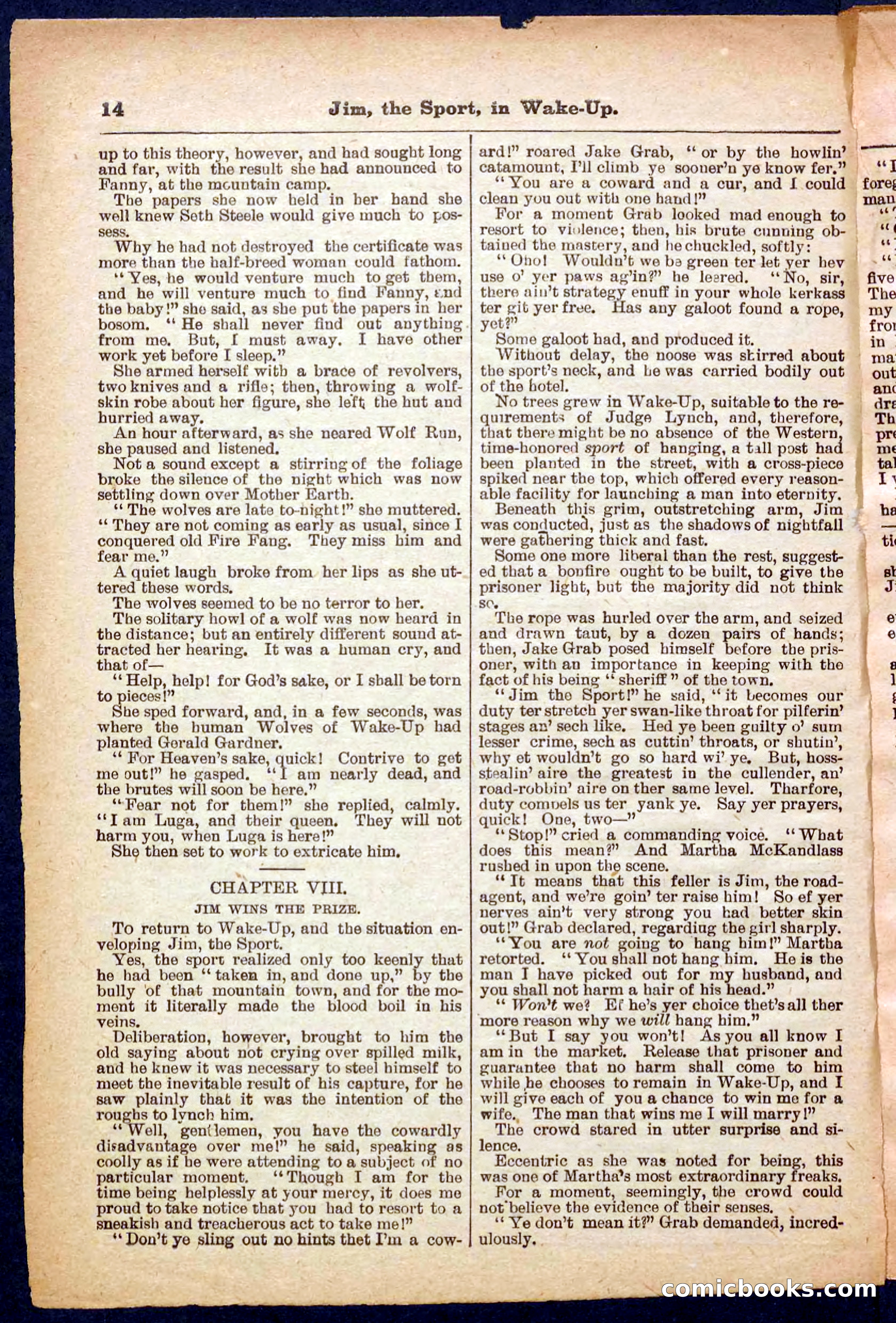 Beadle's Pocket Library No. 368 — page 14 of 32