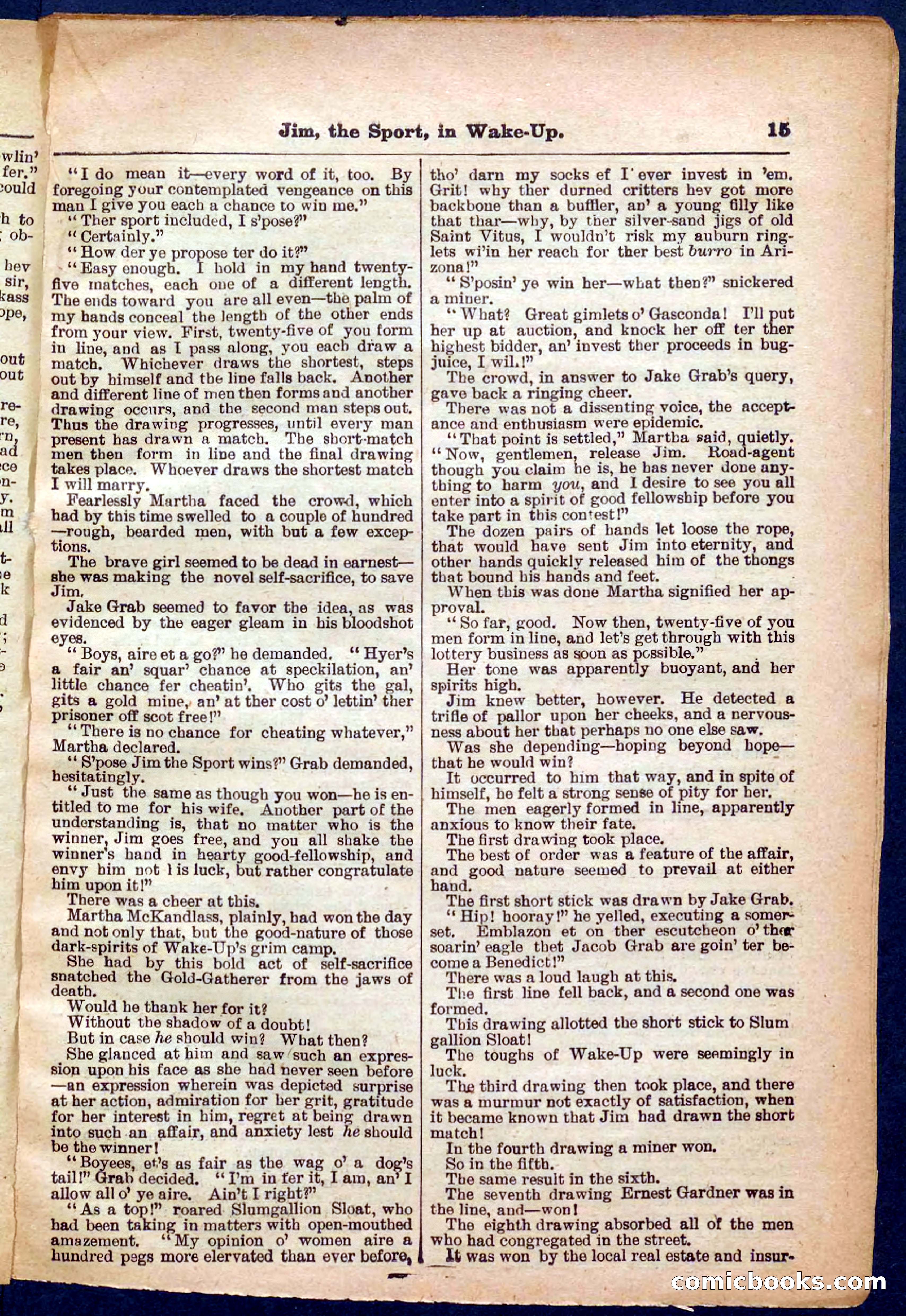 Beadle's Pocket Library No. 368 — page 15 of 32