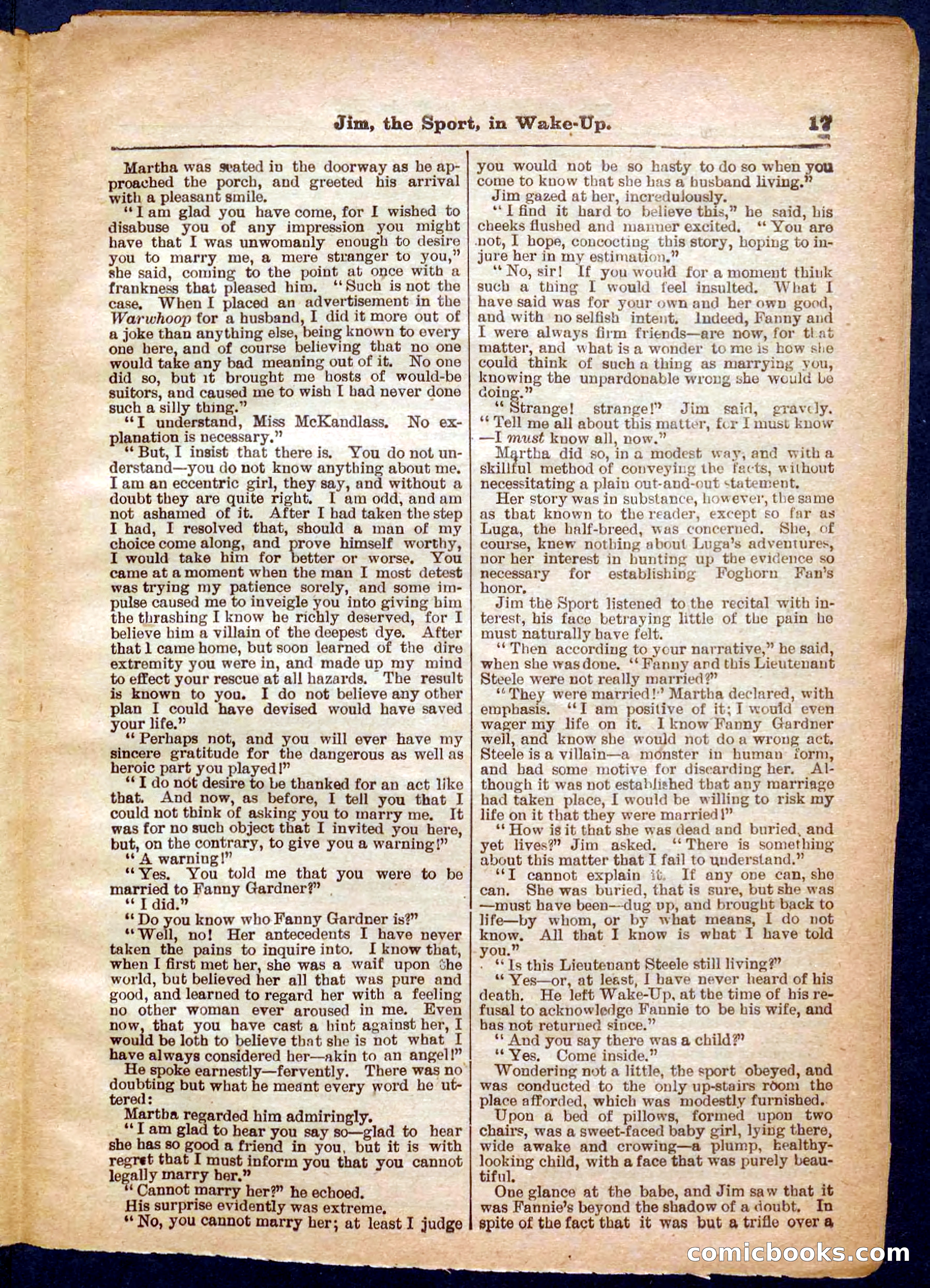 Beadle's Pocket Library No. 368 — page 17 of 32