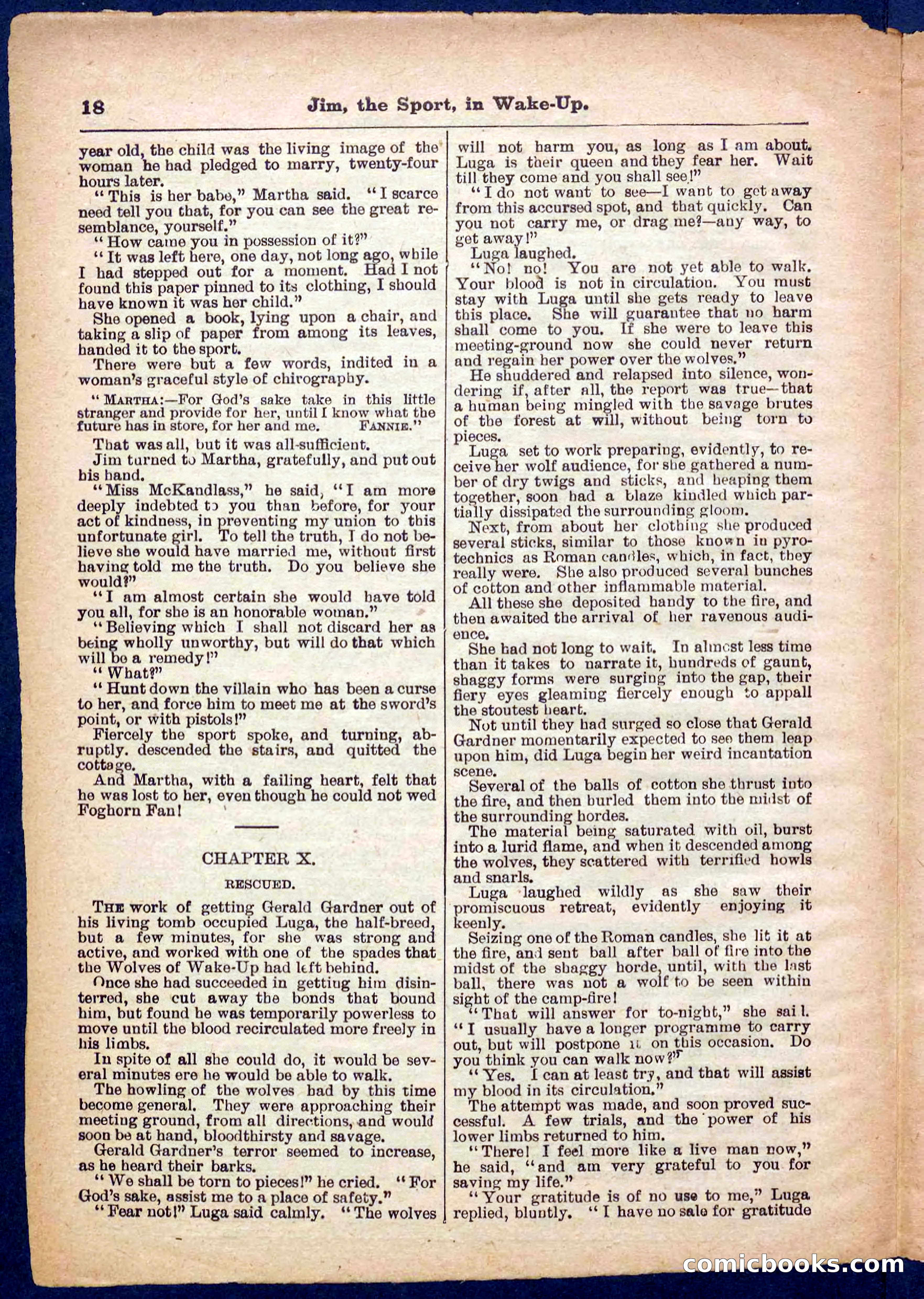 Beadle's Pocket Library No. 368 — page 18 of 32