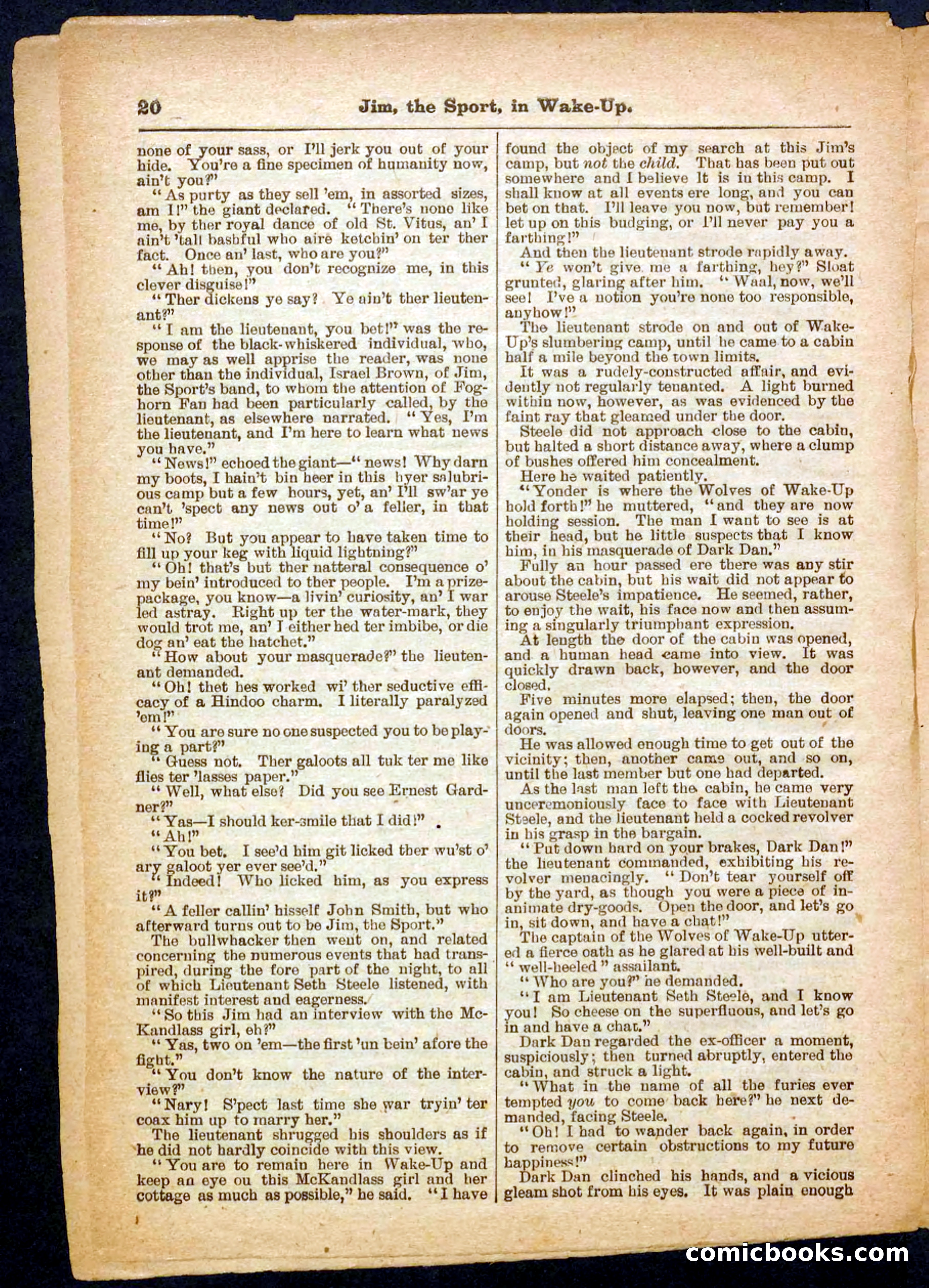 Beadle's Pocket Library No. 368 — page 20 of 32
