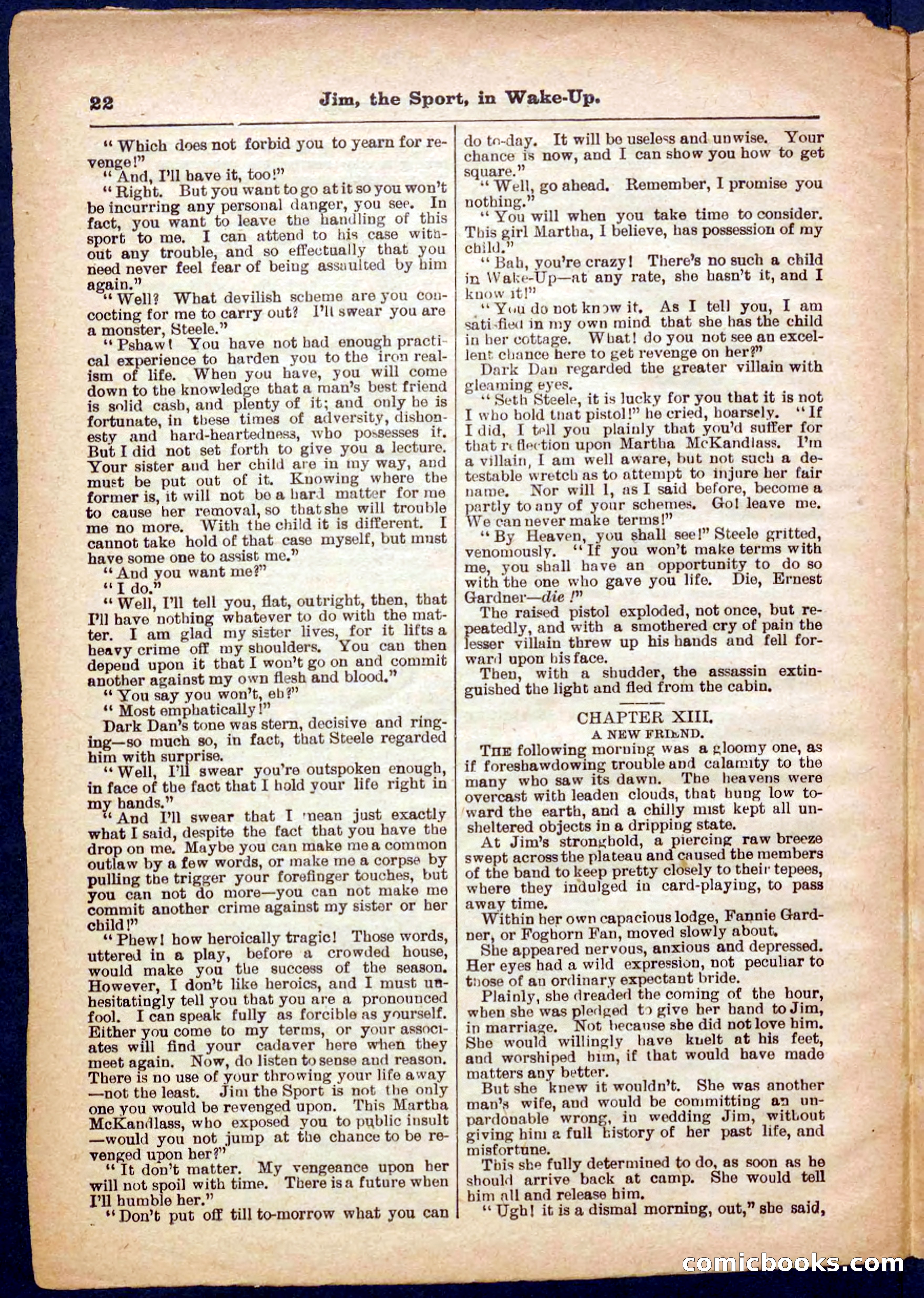Beadle's Pocket Library No. 368 — page 22 of 32