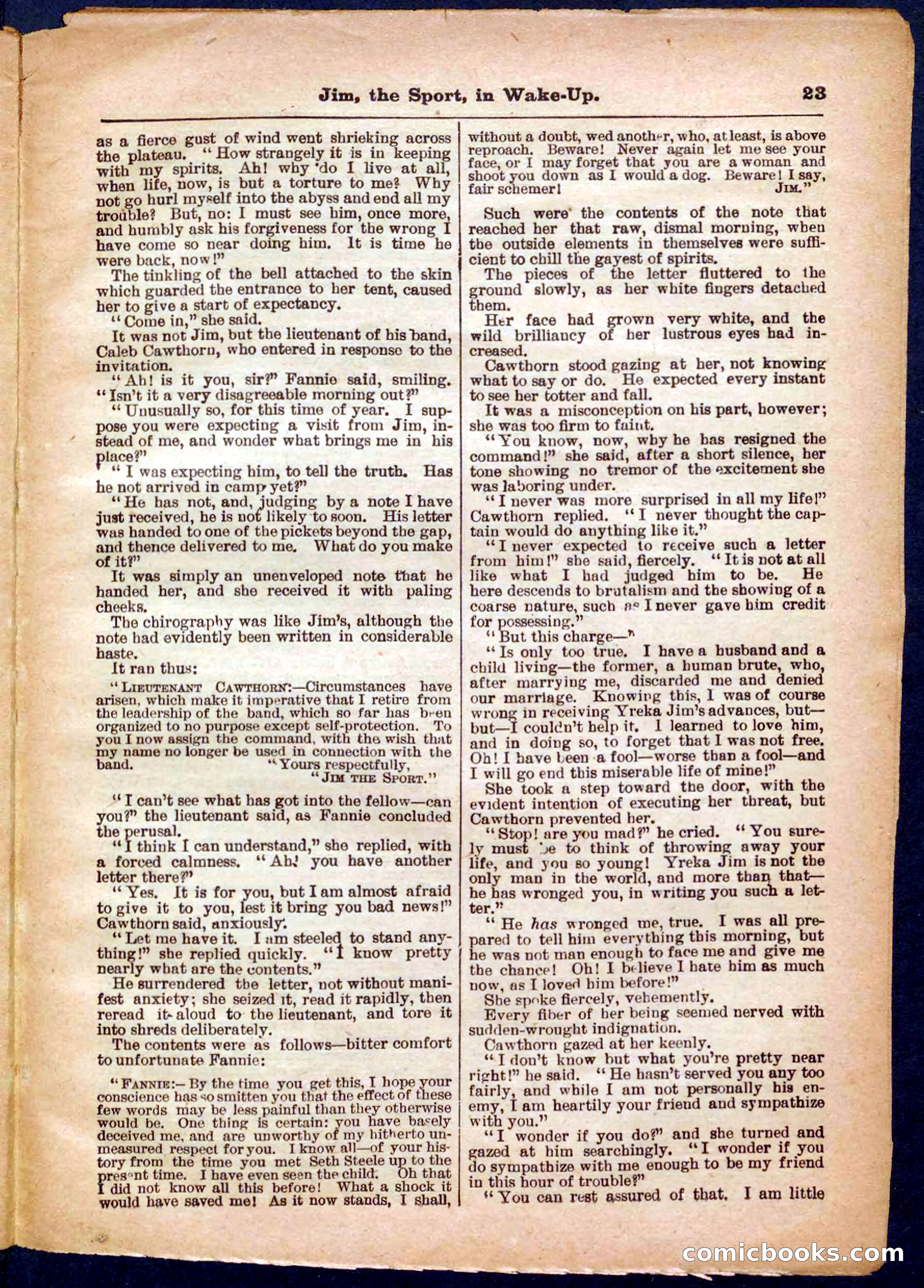 Beadle's Pocket Library No. 368 — page 23 of 32