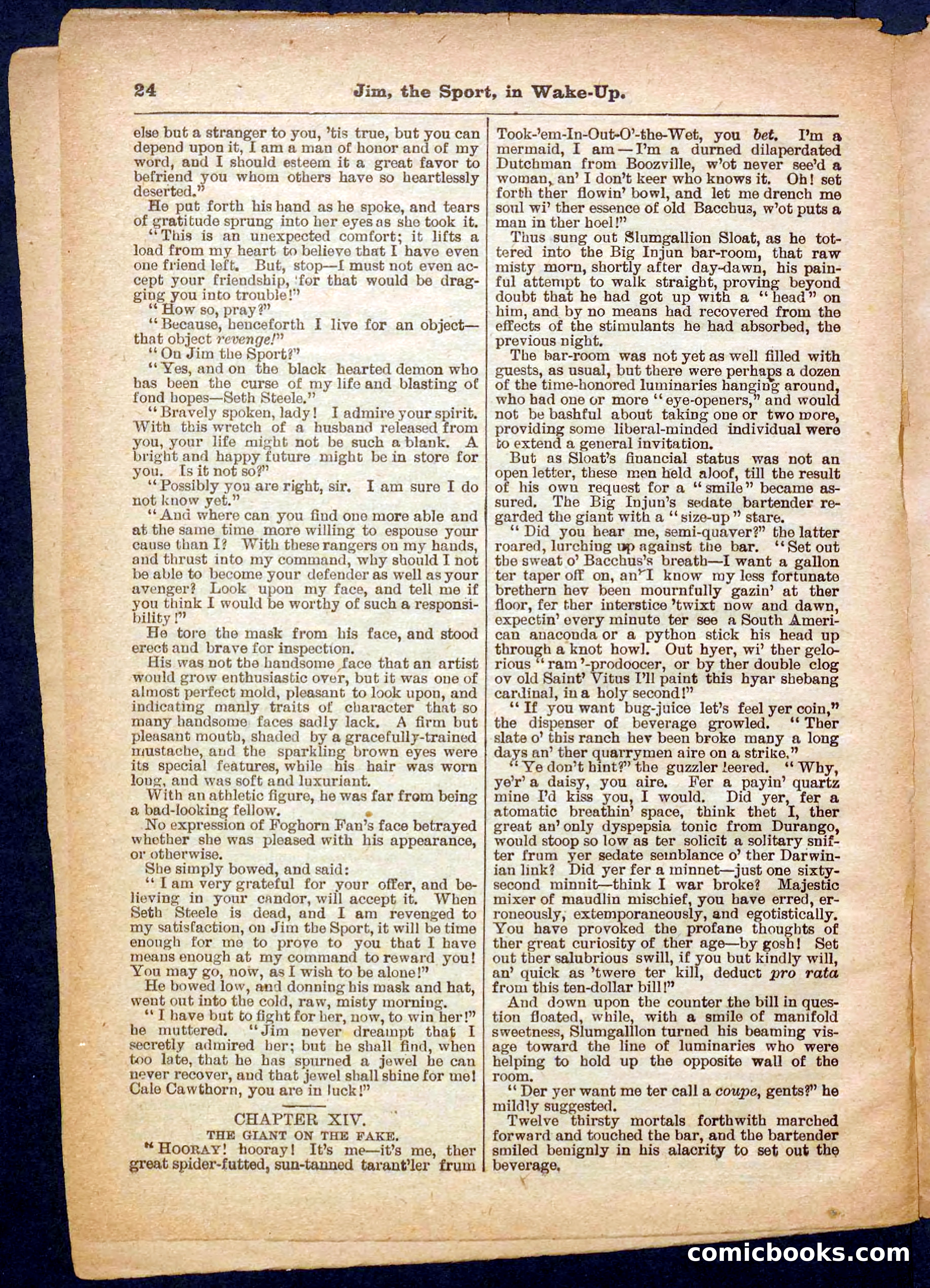 Beadle's Pocket Library No. 368 — page 24 of 32