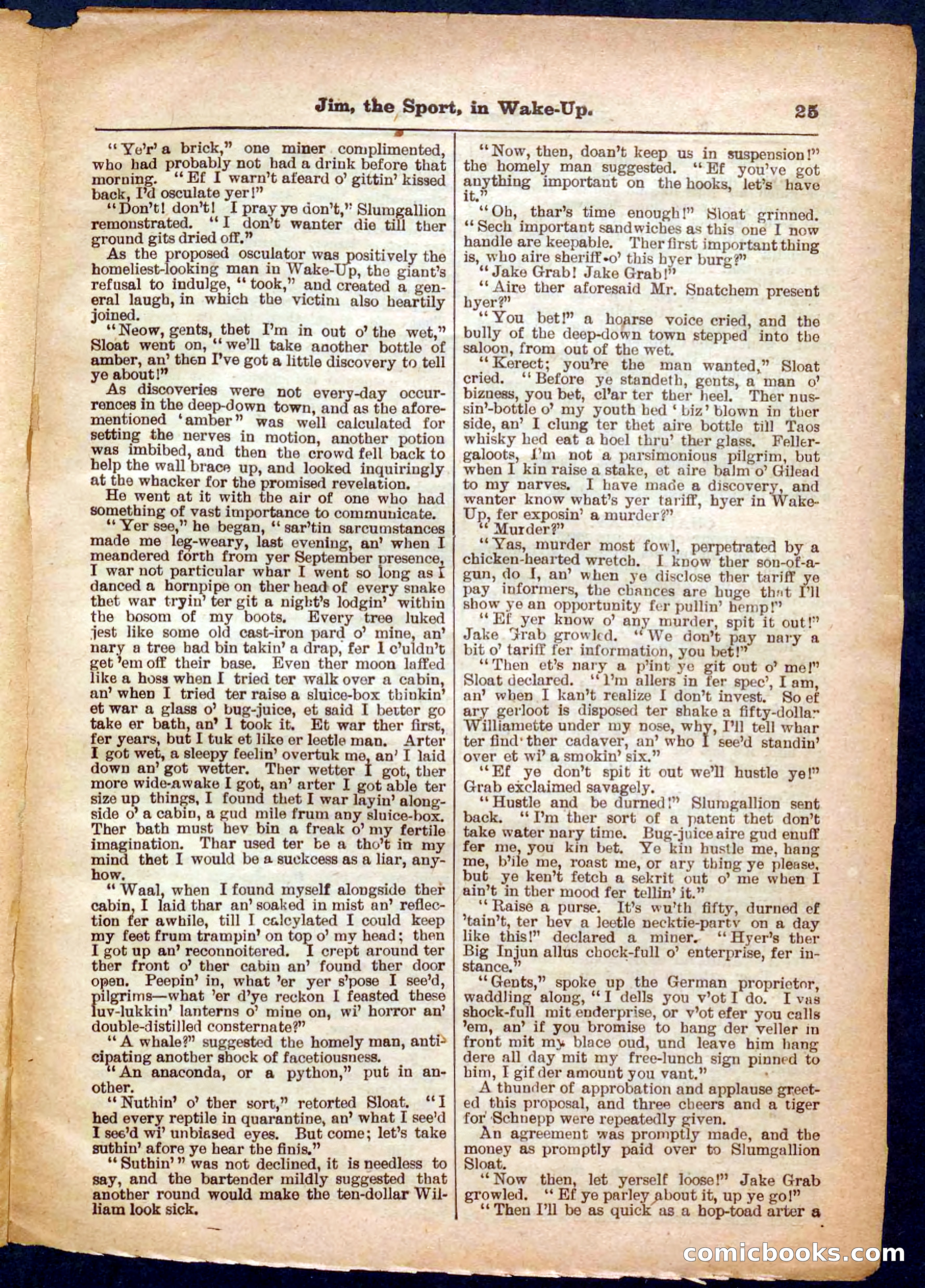 Beadle's Pocket Library No. 368 — page 25 of 32