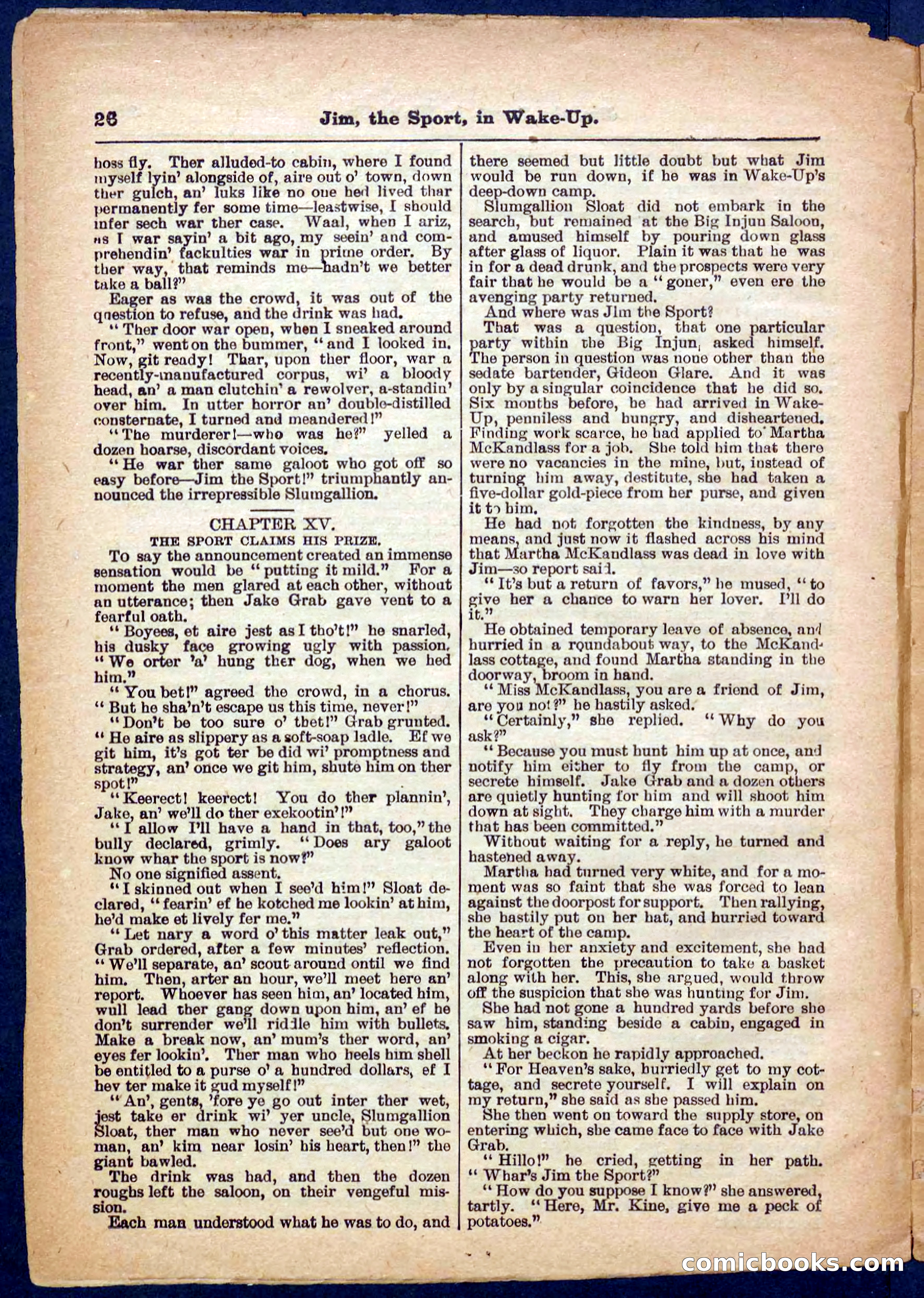 Beadle's Pocket Library No. 368 — page 26 of 32