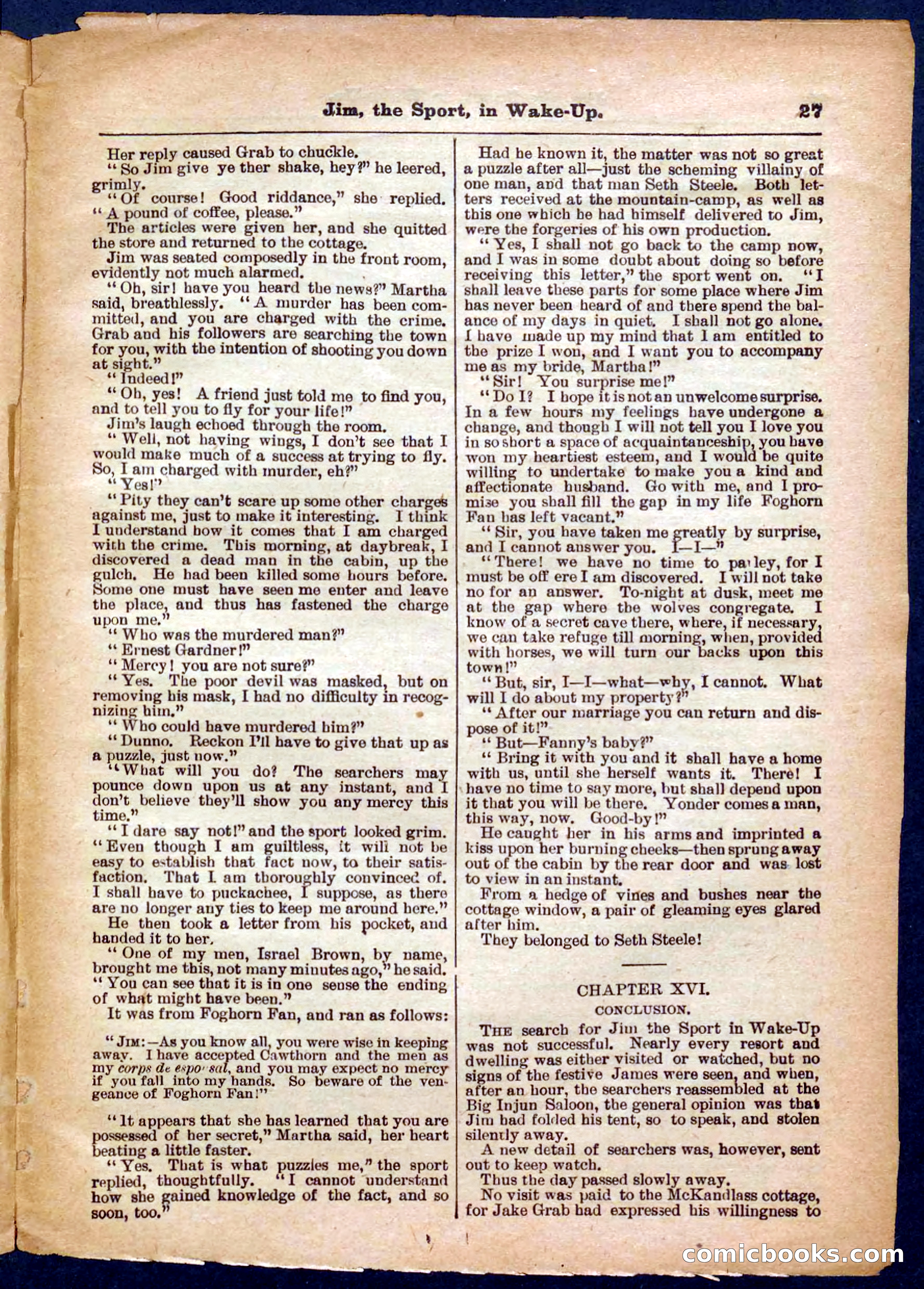 Beadle's Pocket Library No. 368 — page 27 of 32
