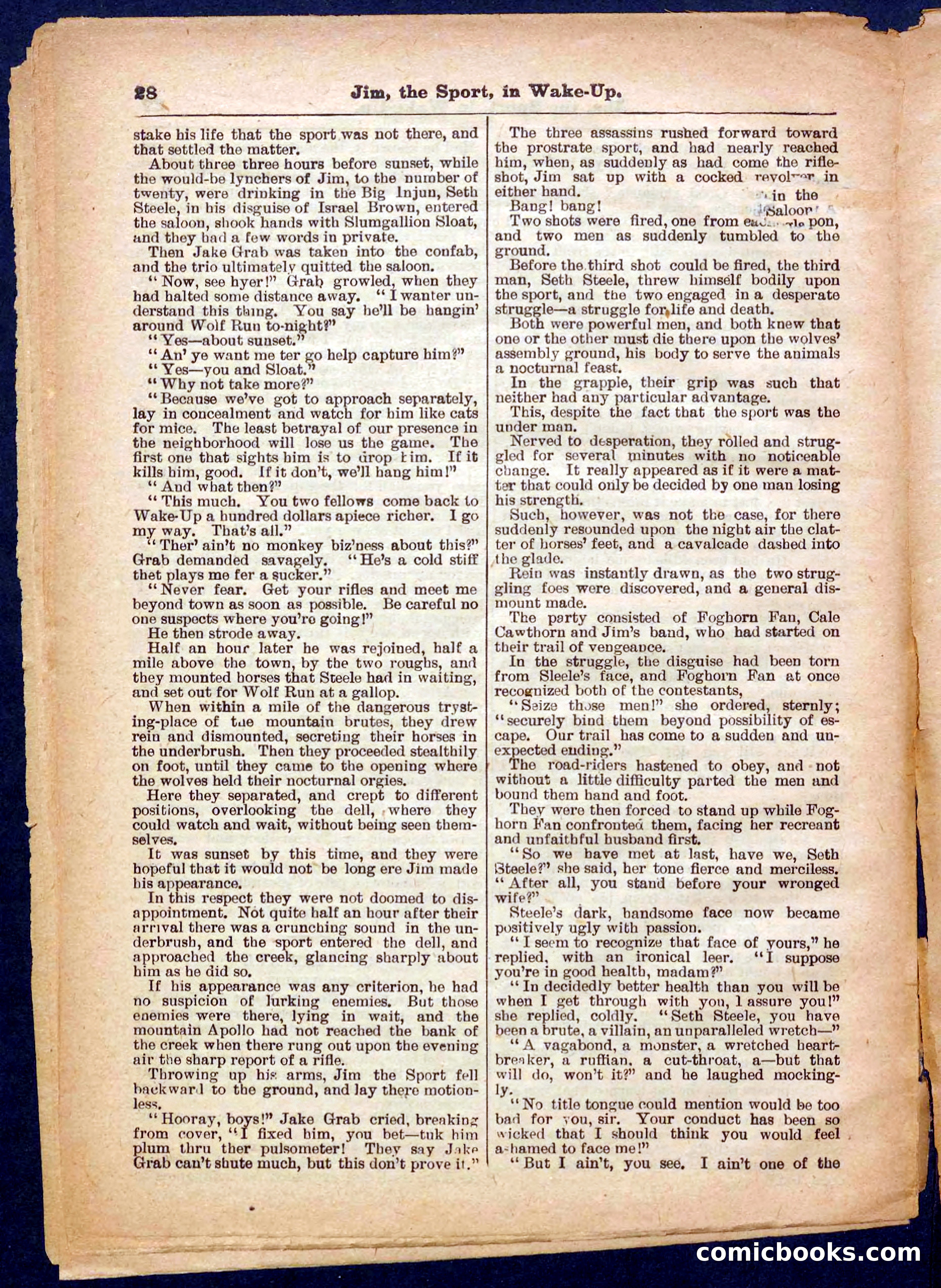 Beadle's Pocket Library No. 368 — page 28 of 32