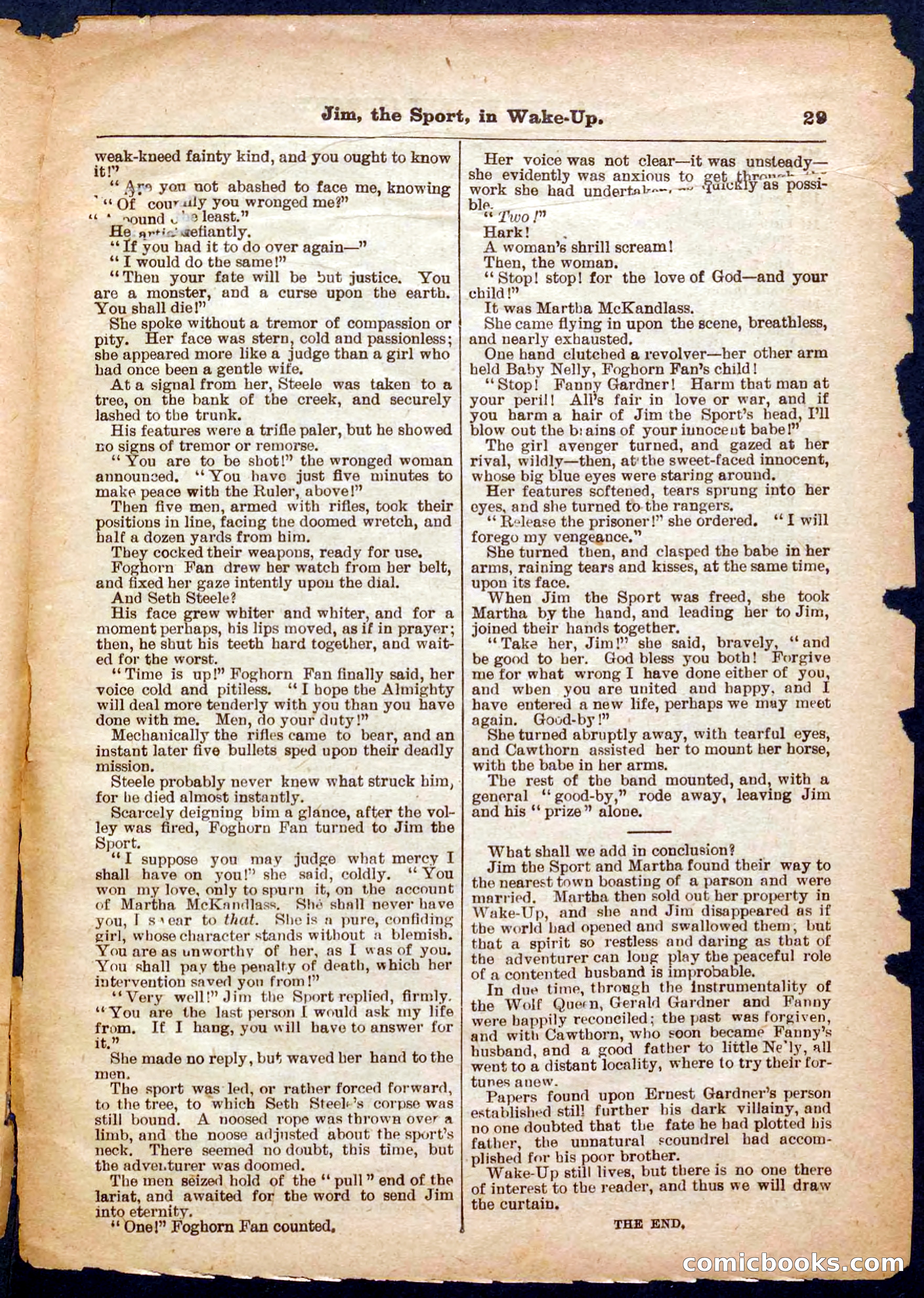 Beadle's Pocket Library No. 368 — page 29 of 32