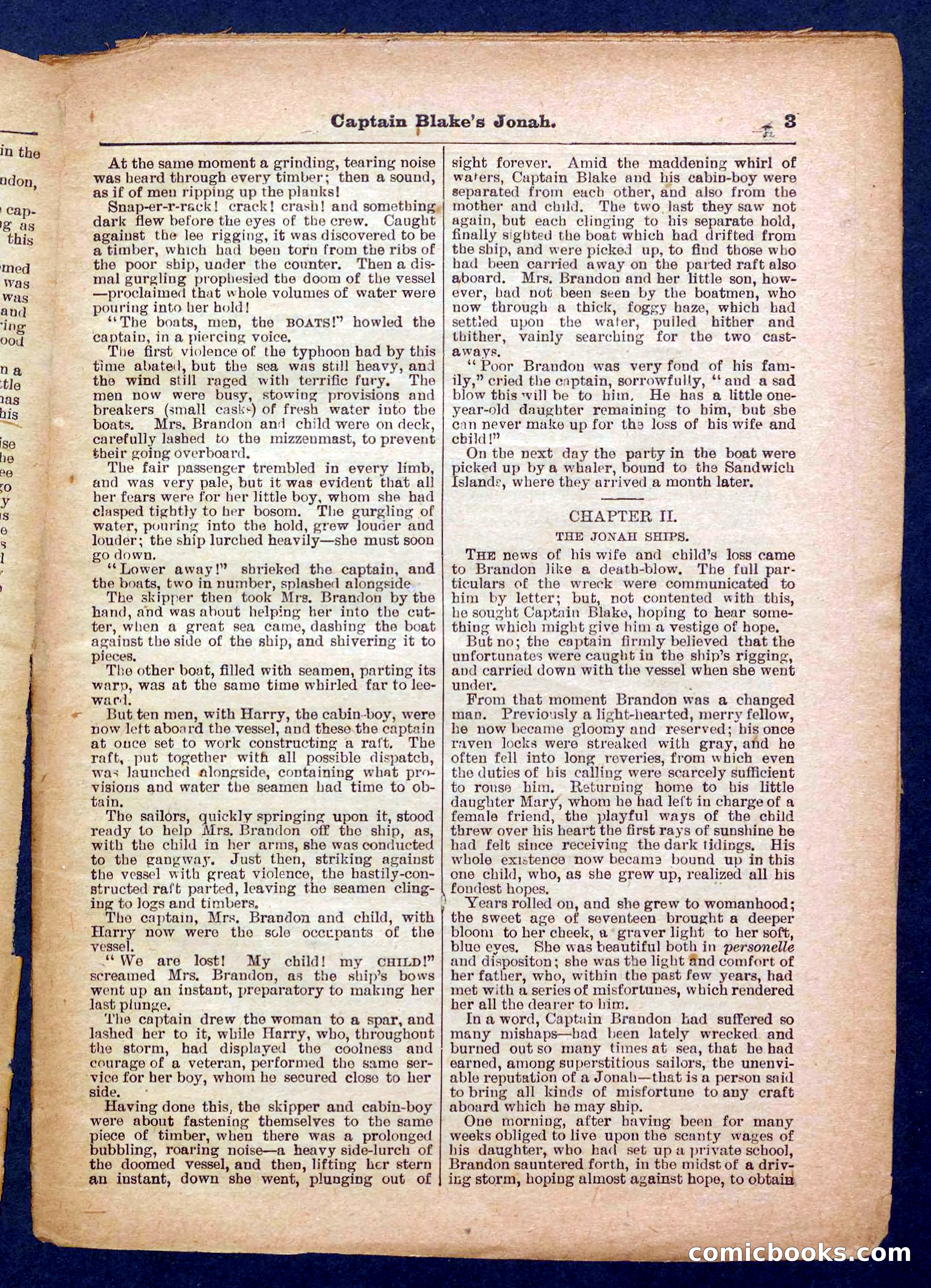 Beadle's Pocket Library No. 369: Captain Blake's Jonah — page 3 of 32