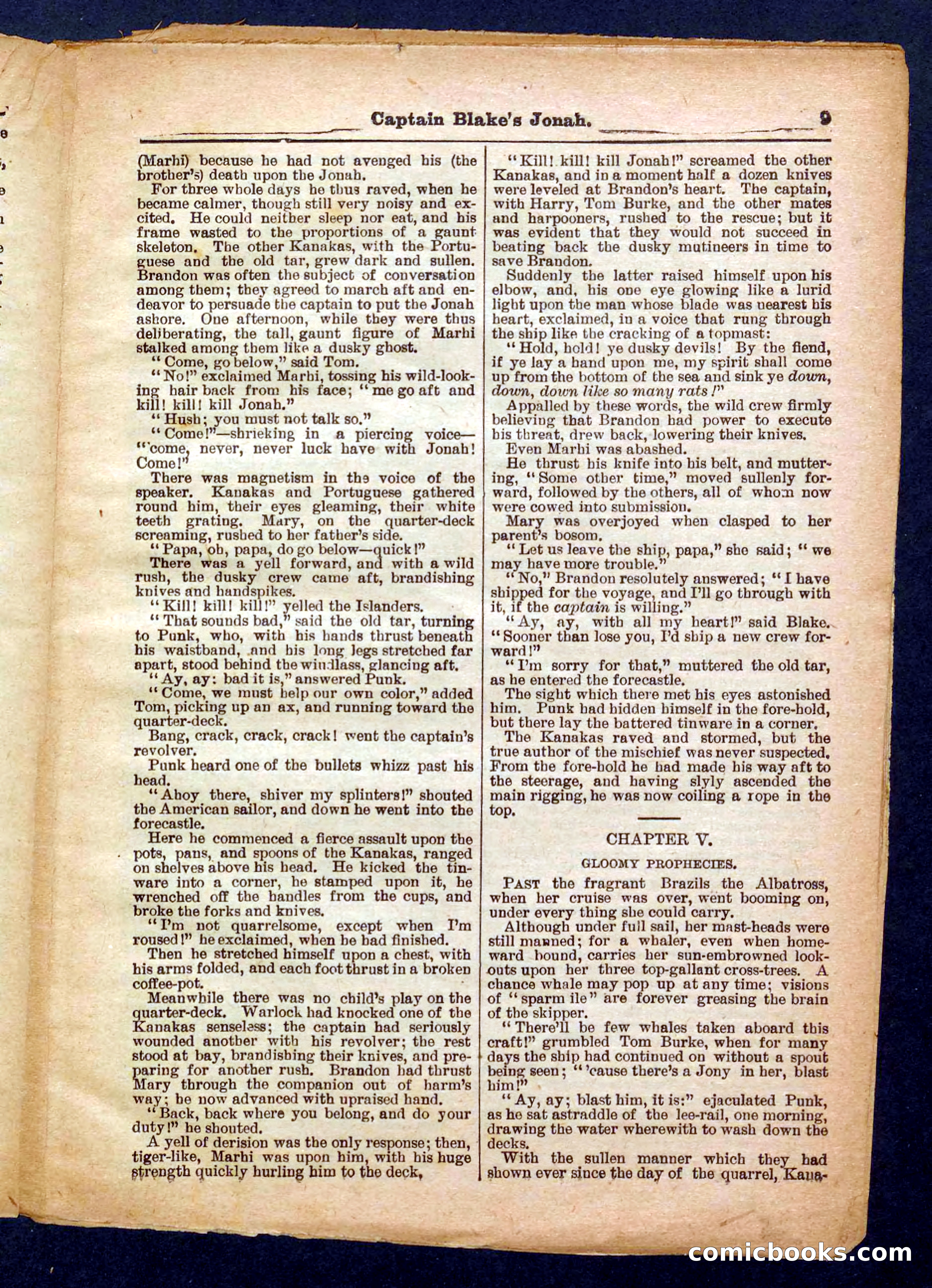 Beadle's Pocket Library No. 369: Captain Blake's Jonah — page 9 of 32