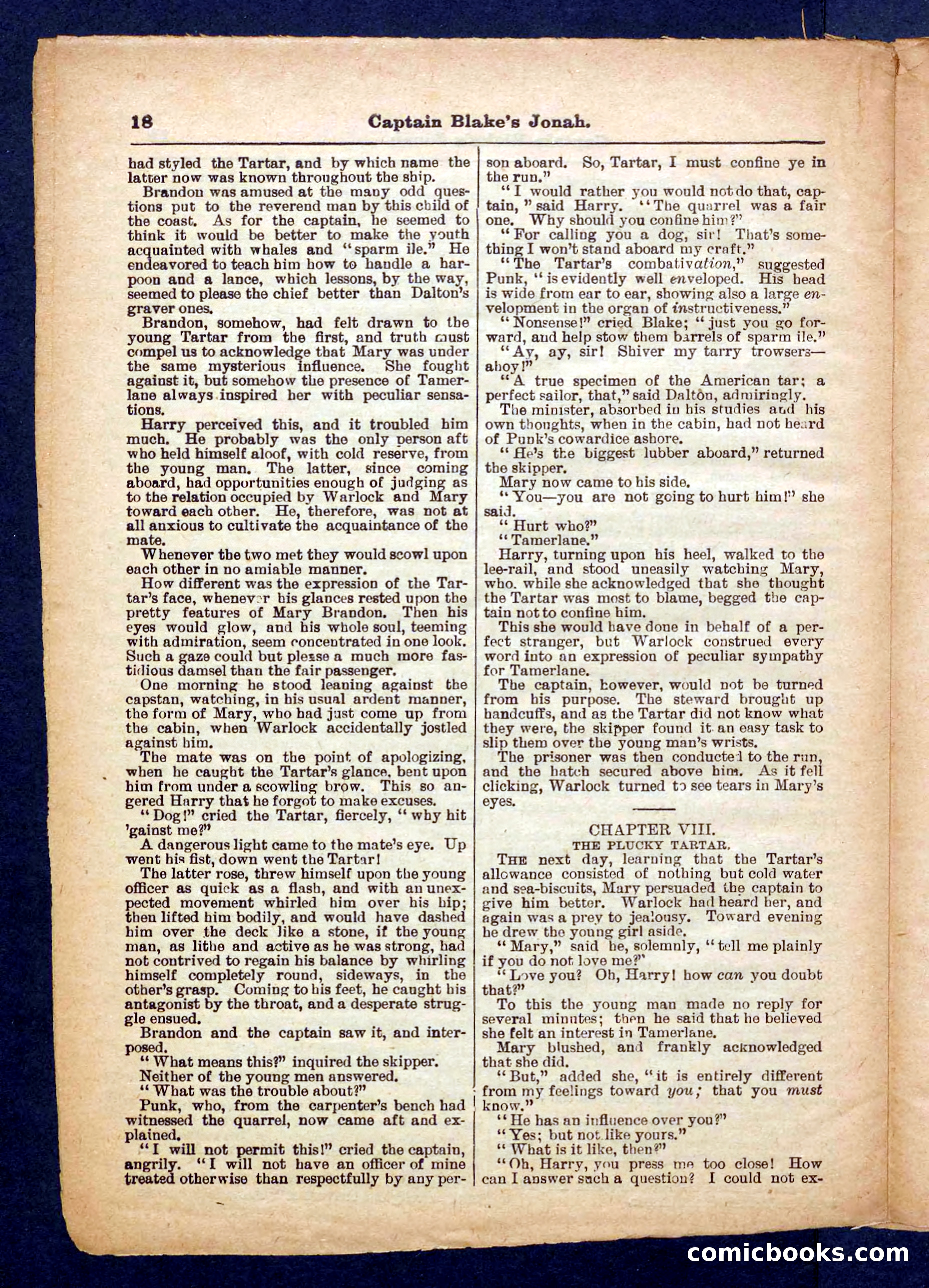 Beadle's Pocket Library No. 369: Captain Blake's Jonah — page 18 of 32