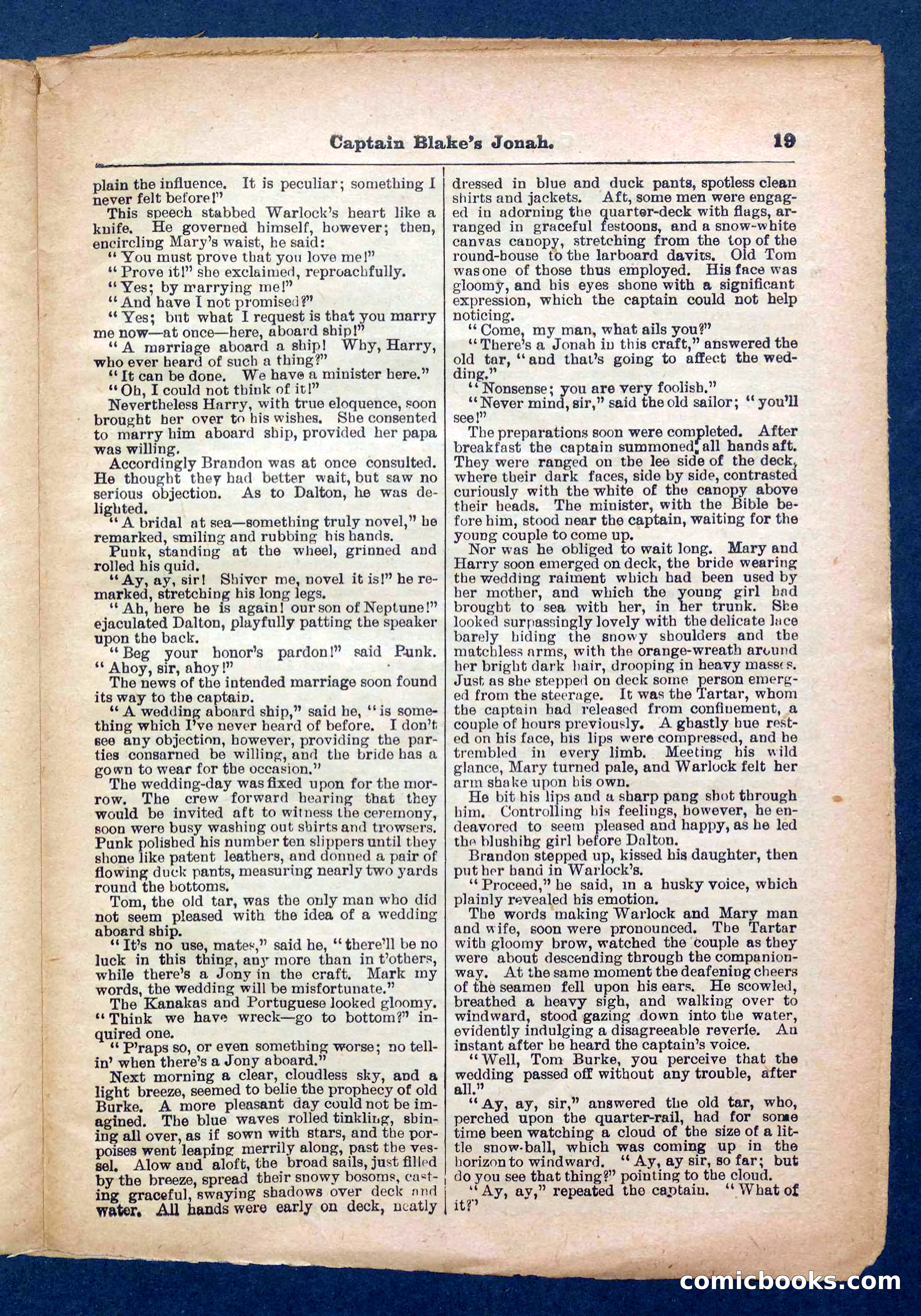 Beadle's Pocket Library No. 369: Captain Blake's Jonah — page 19 of 32