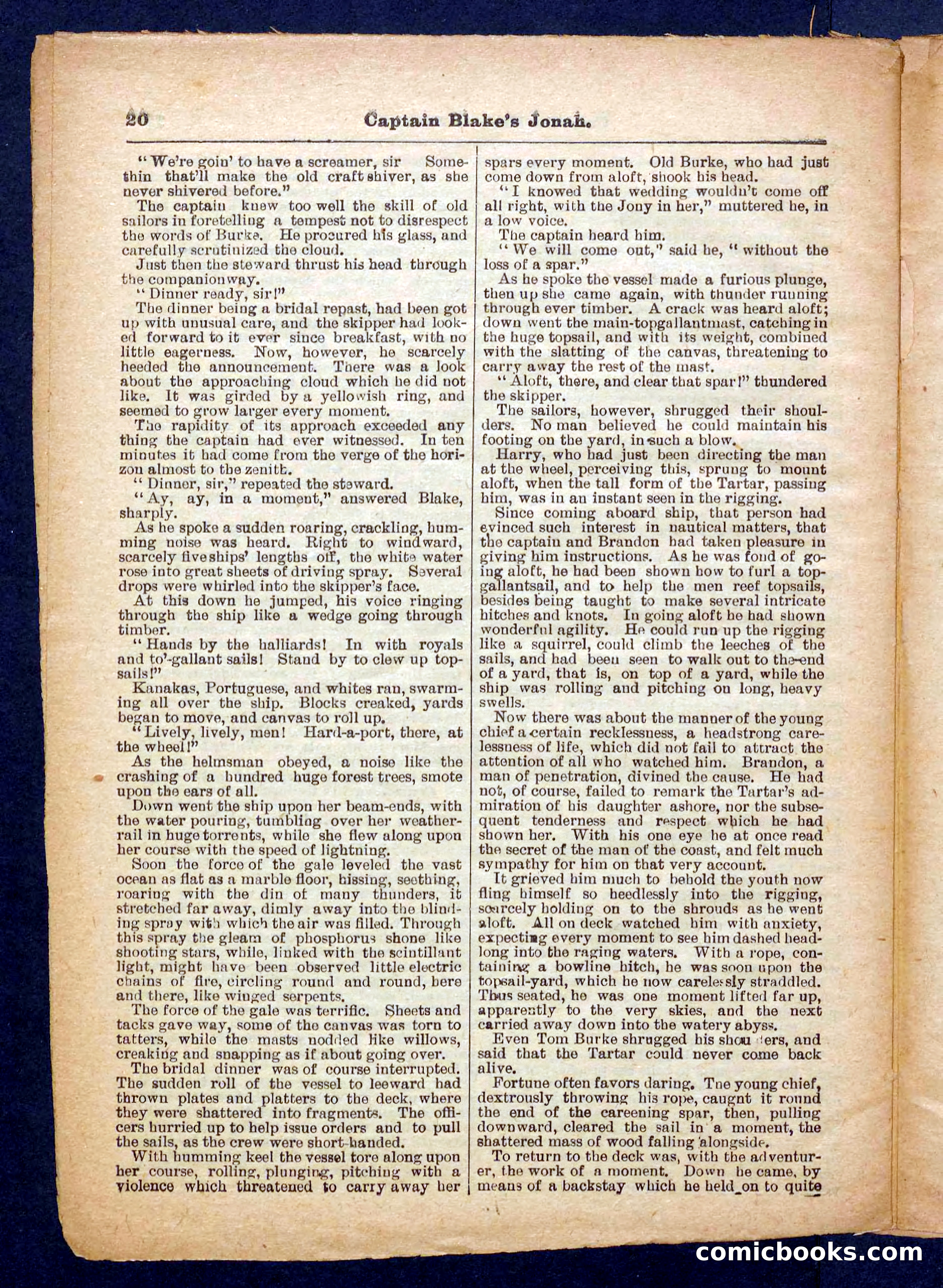 Beadle's Pocket Library No. 369: Captain Blake's Jonah — page 20 of 32