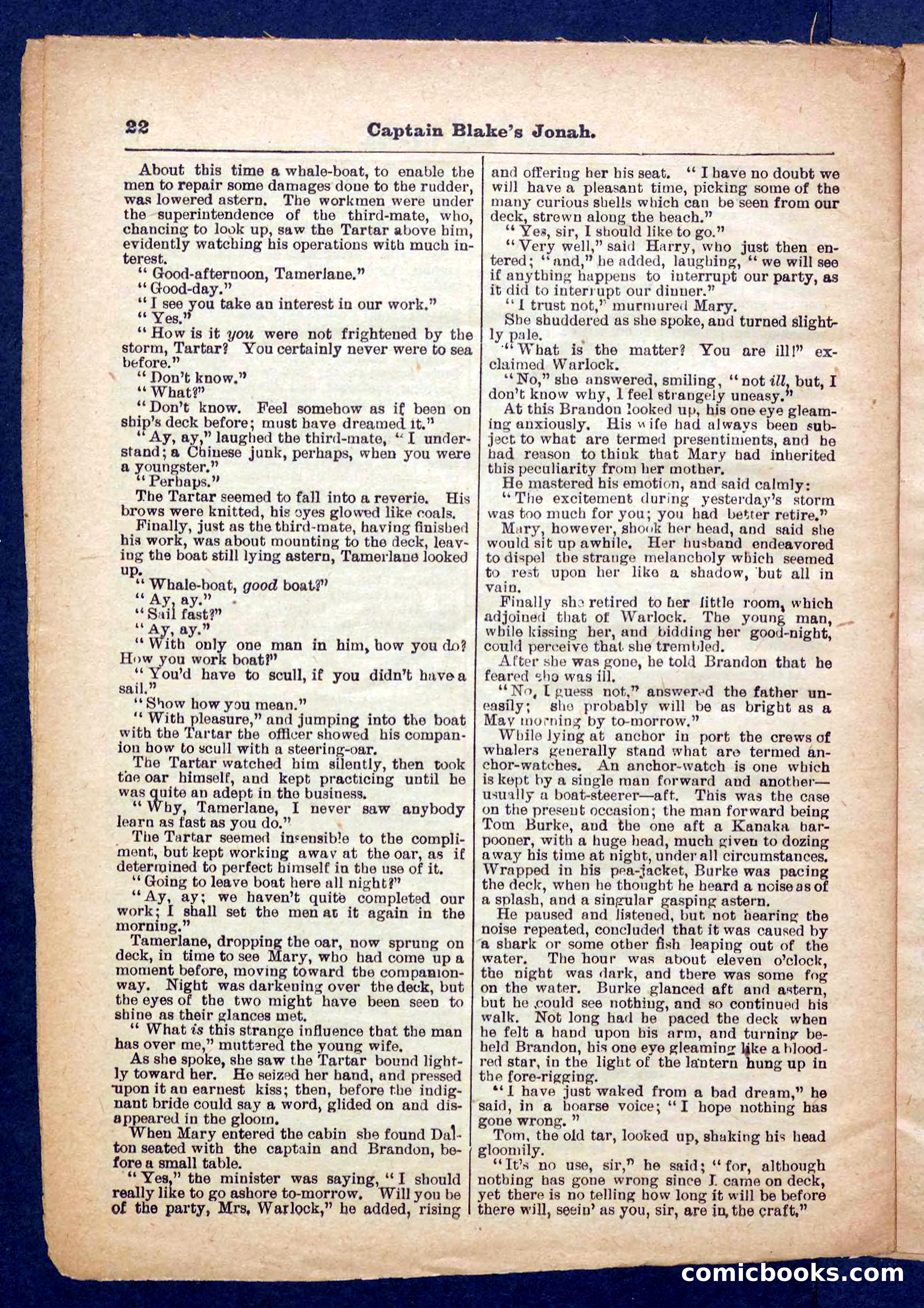 Beadle's Pocket Library No. 369: Captain Blake's Jonah — page 22 of 32