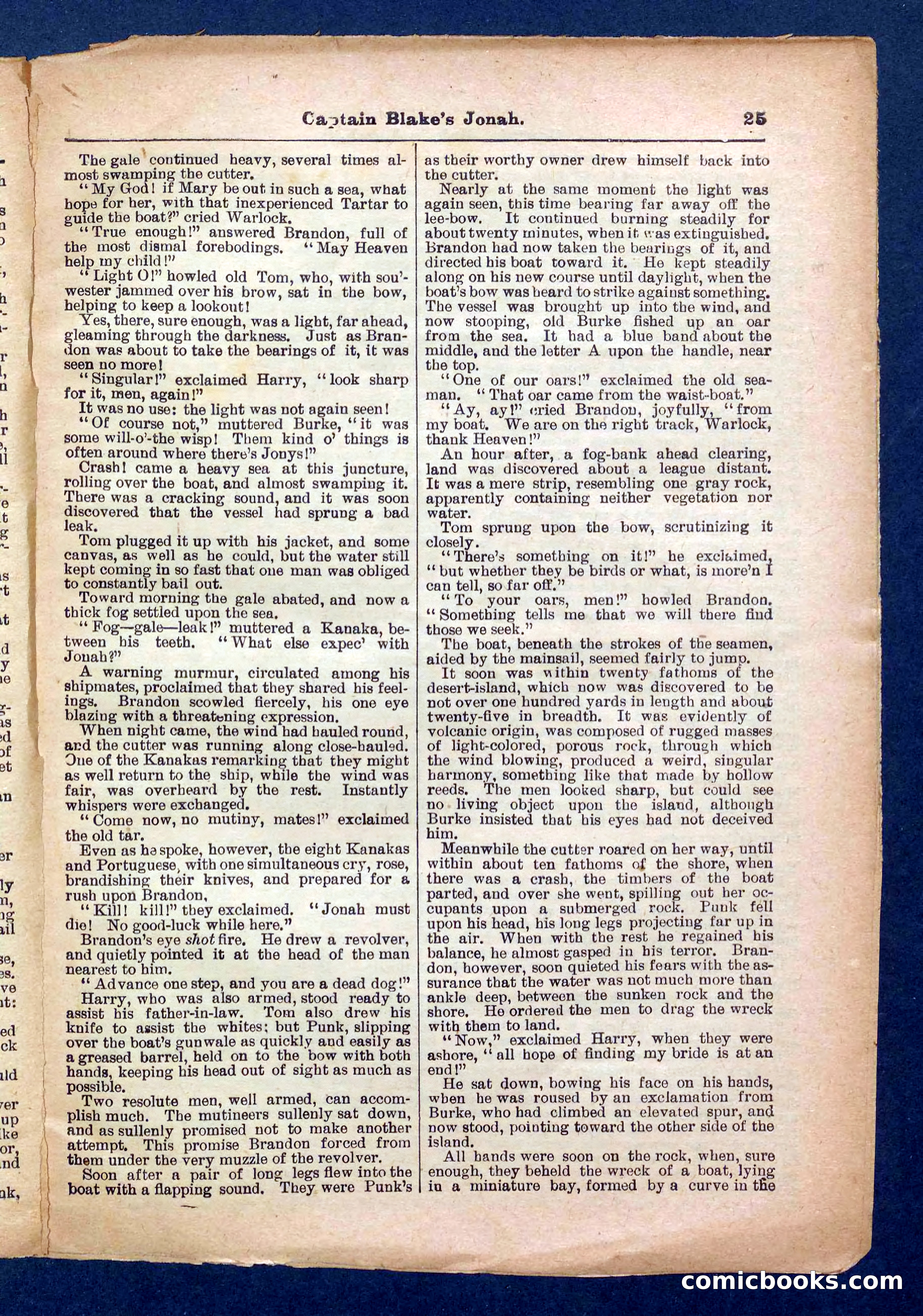Beadle's Pocket Library No. 369: Captain Blake's Jonah — page 25 of 32