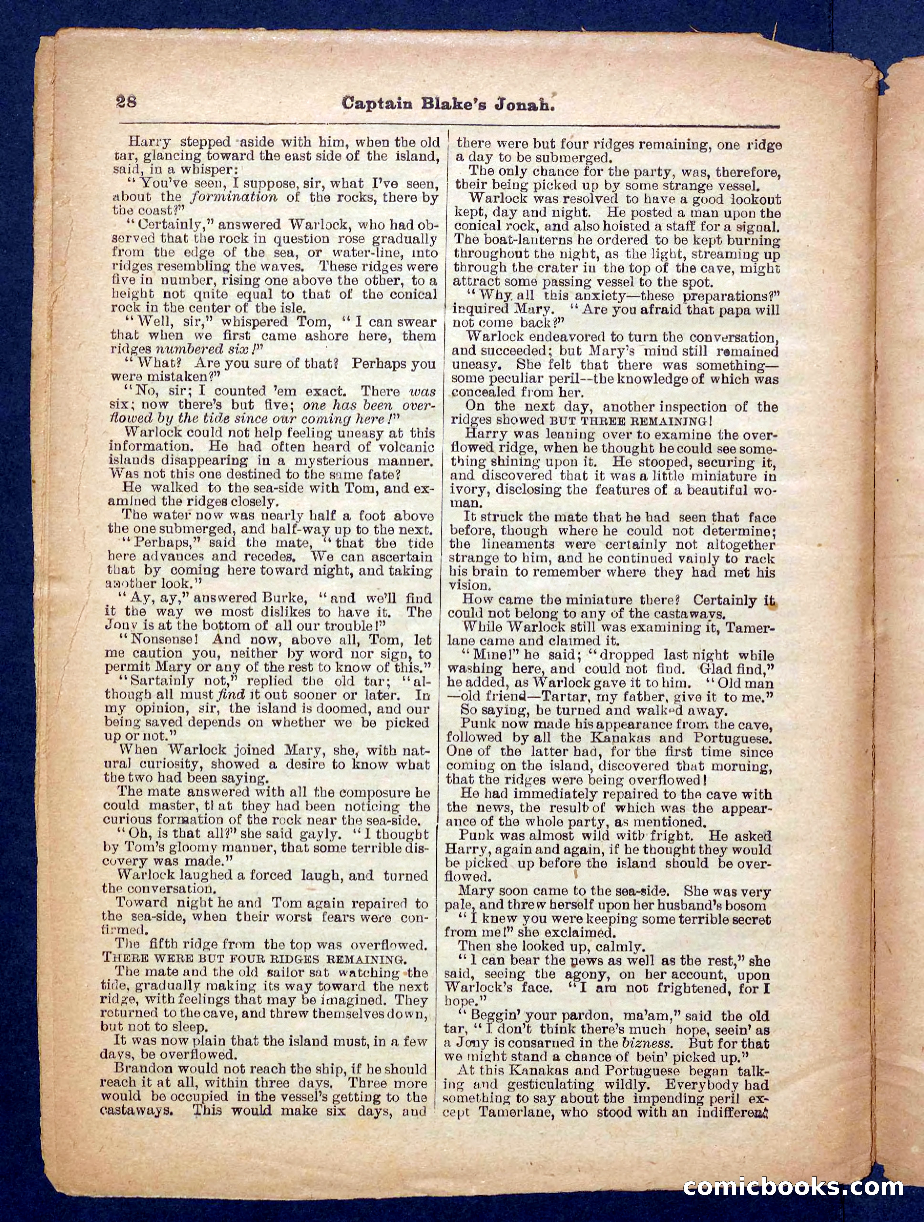 Beadle's Pocket Library No. 369: Captain Blake's Jonah — page 28 of 32