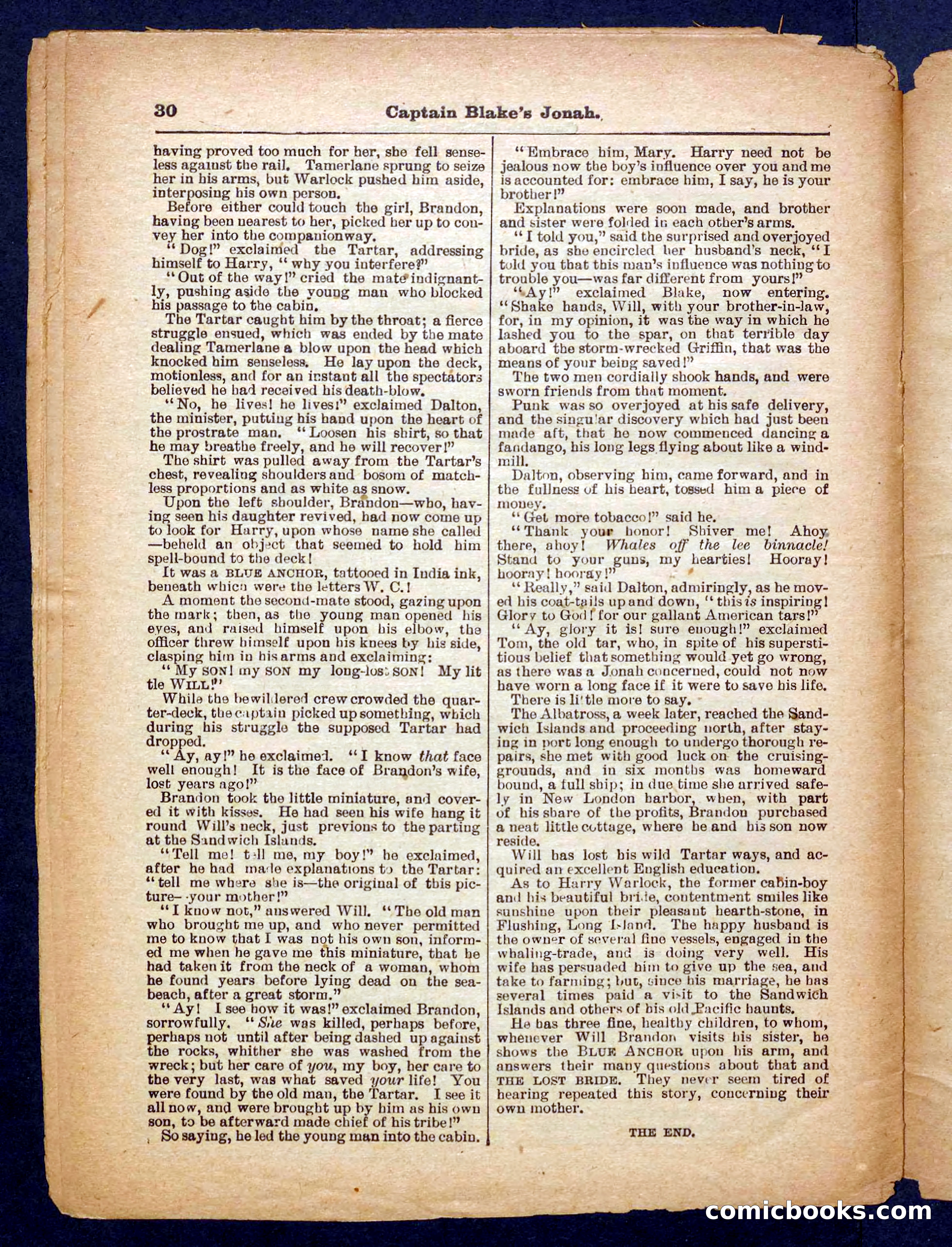 Beadle's Pocket Library No. 369: Captain Blake's Jonah — page 30 of 32