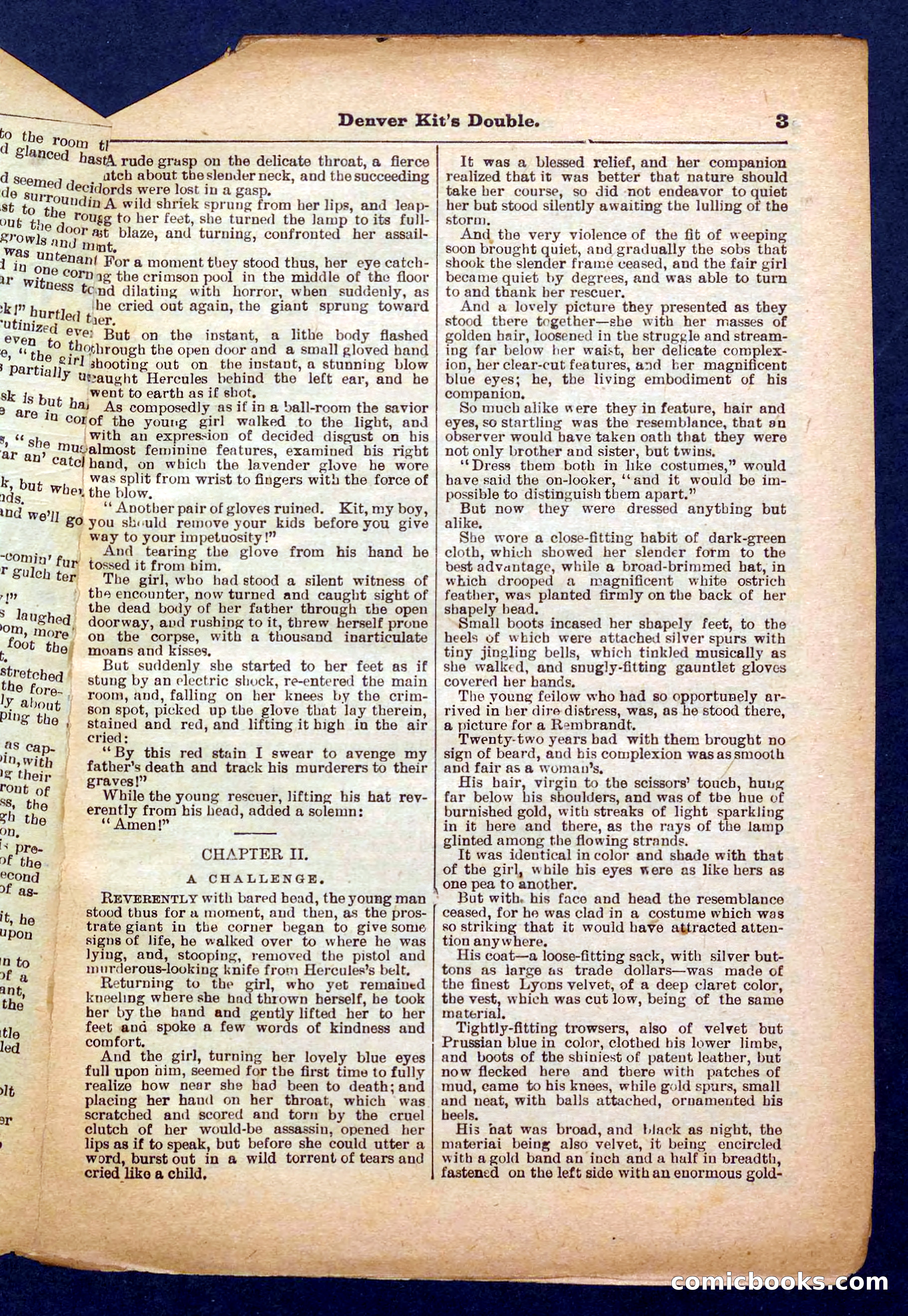 Beadle's Pocket Library No. 370 — page 3 of 32