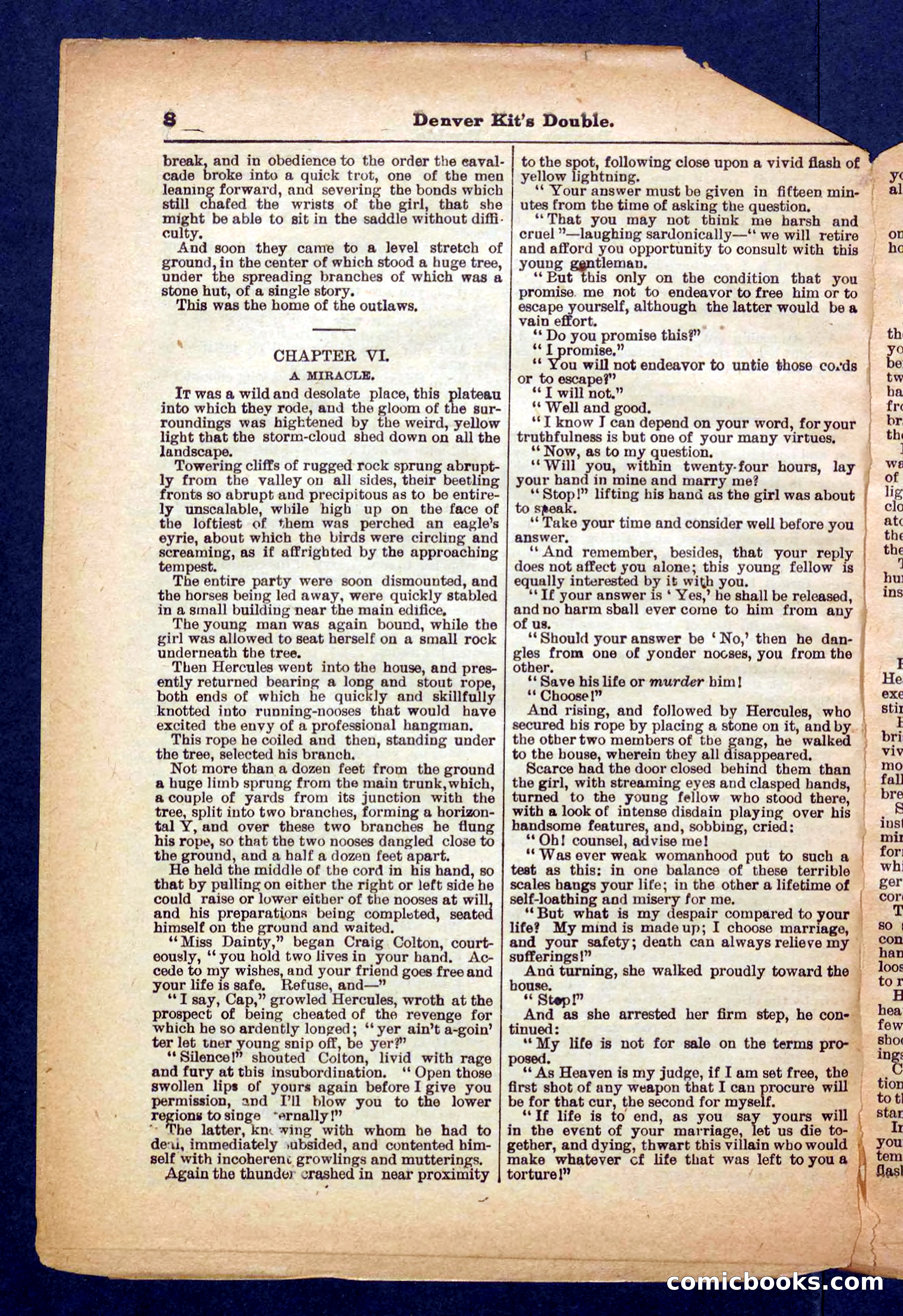 Beadle's Pocket Library No. 370 — page 8 of 32