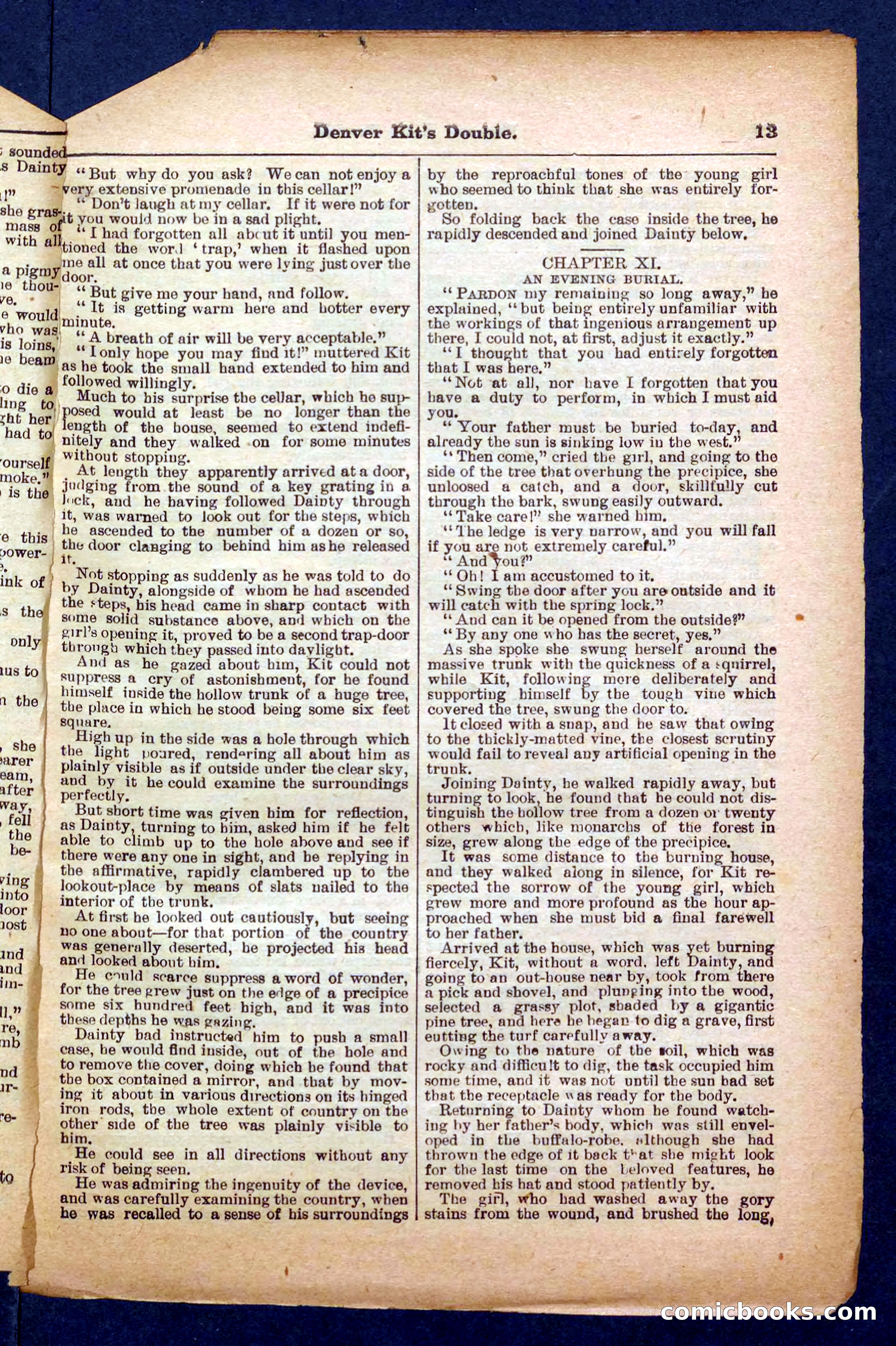 Beadle's Pocket Library No. 370 — page 13 of 32