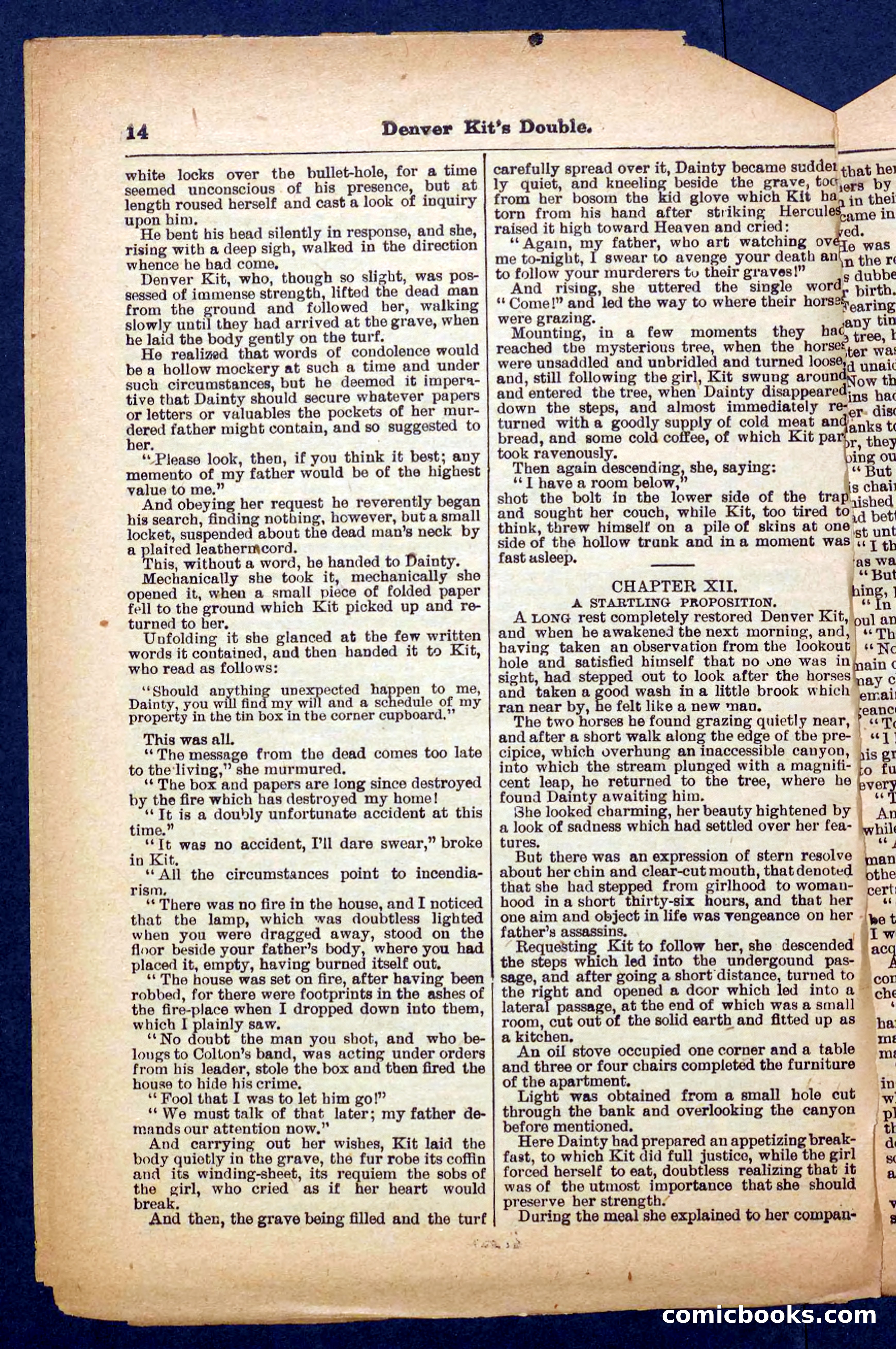 Beadle's Pocket Library No. 370 — page 14 of 32