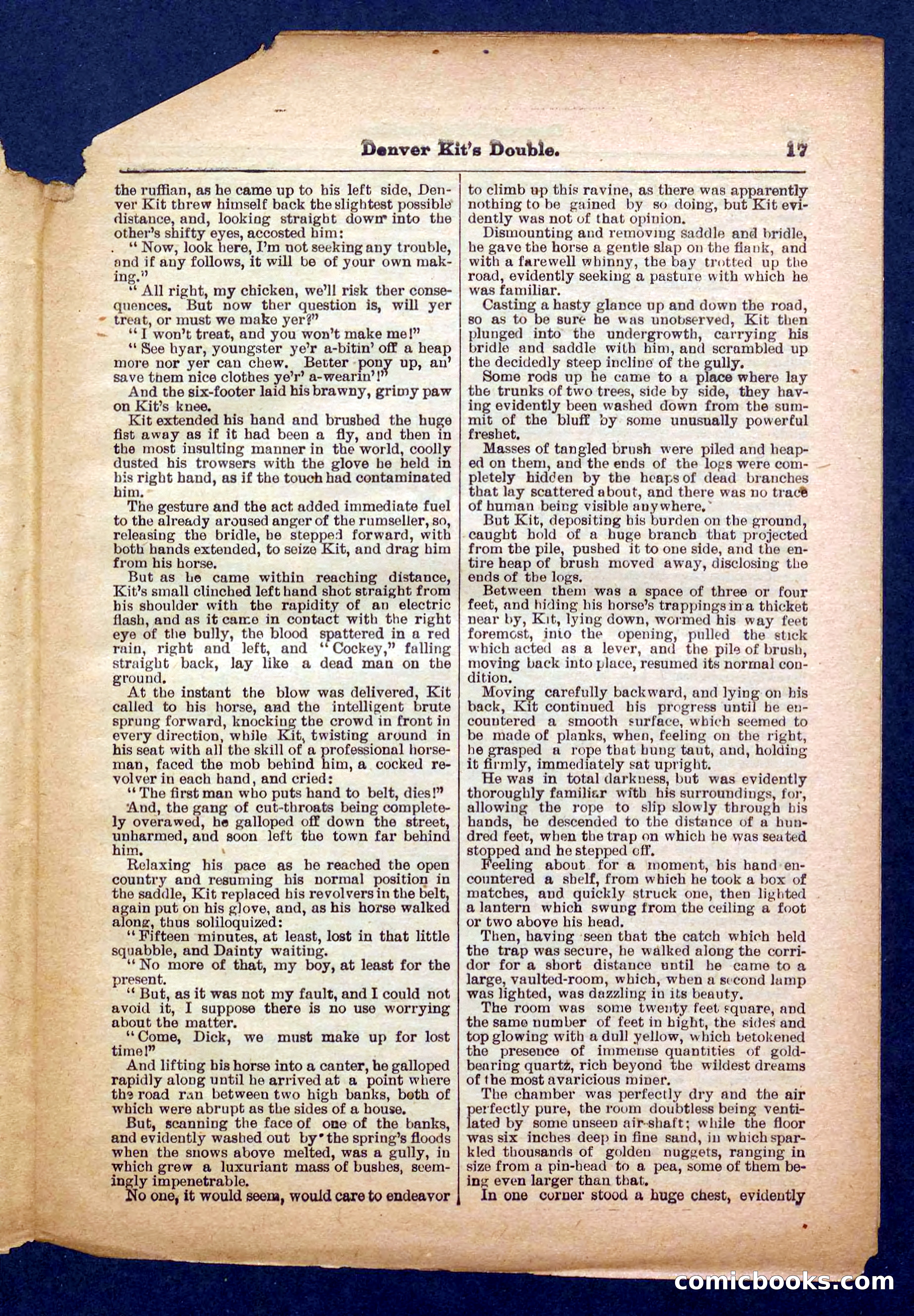 Beadle's Pocket Library No. 370 — page 17 of 32