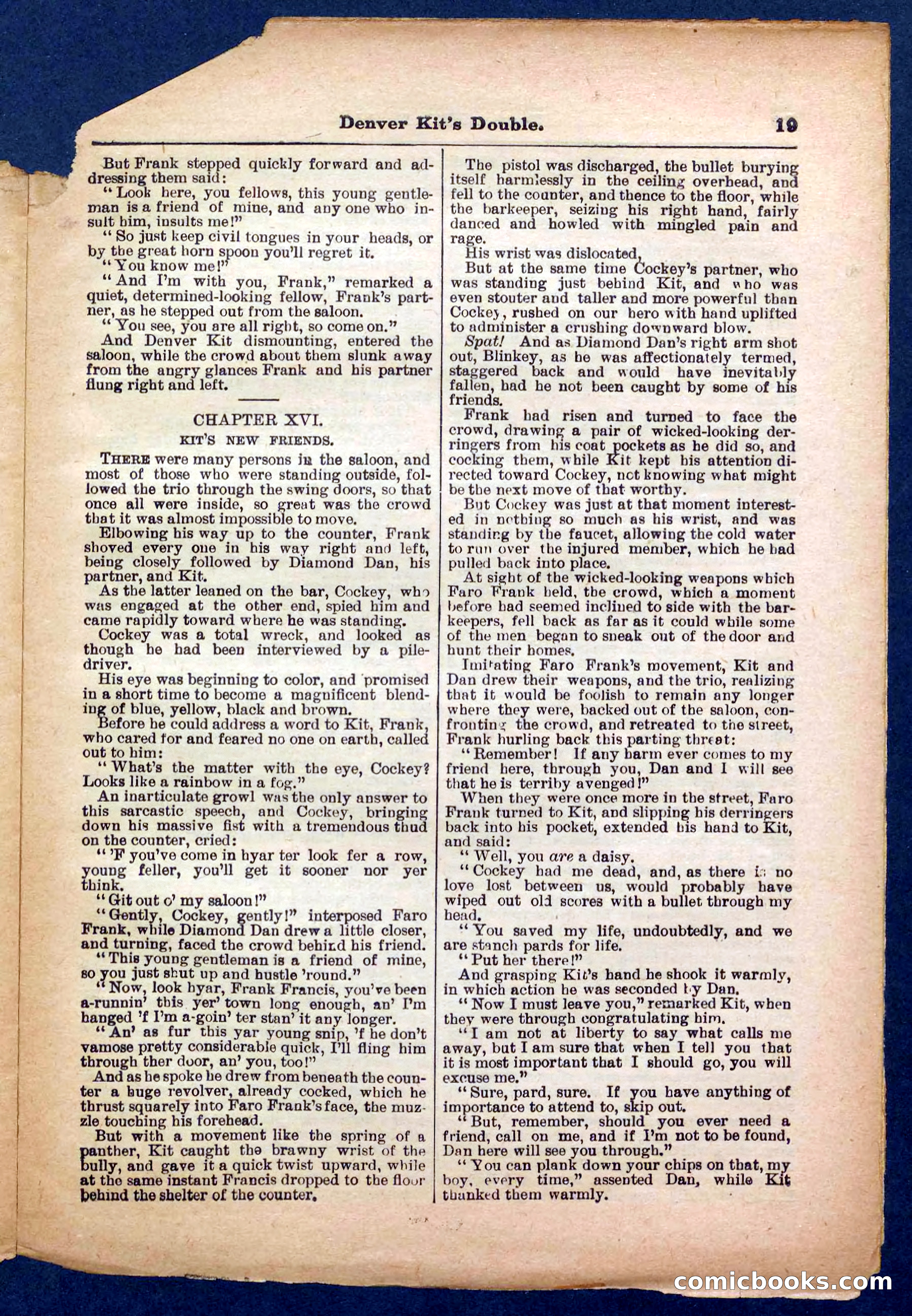 Beadle's Pocket Library No. 370 — page 19 of 32