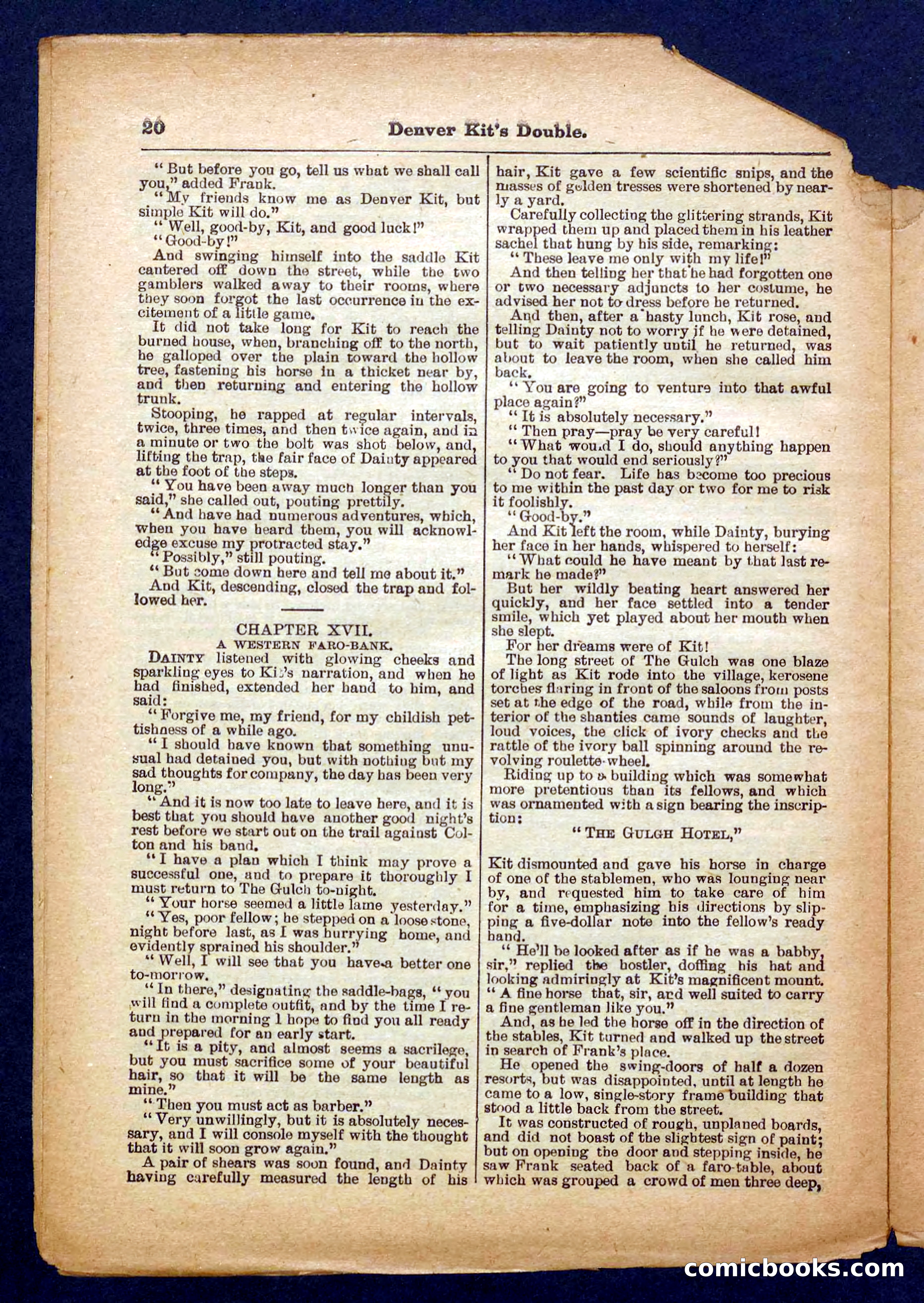Beadle's Pocket Library No. 370 — page 20 of 32