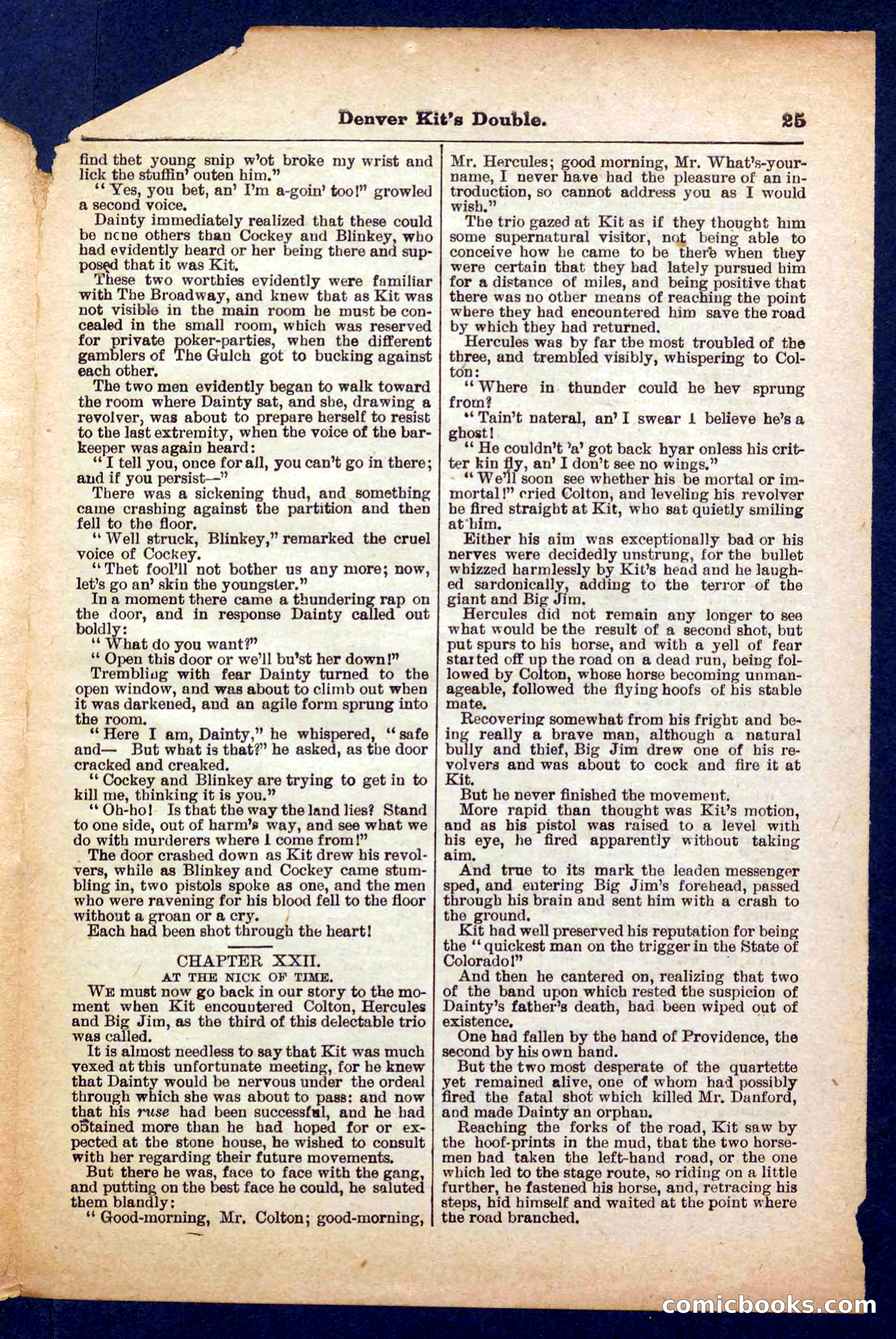 Beadle's Pocket Library No. 370 — page 25 of 32