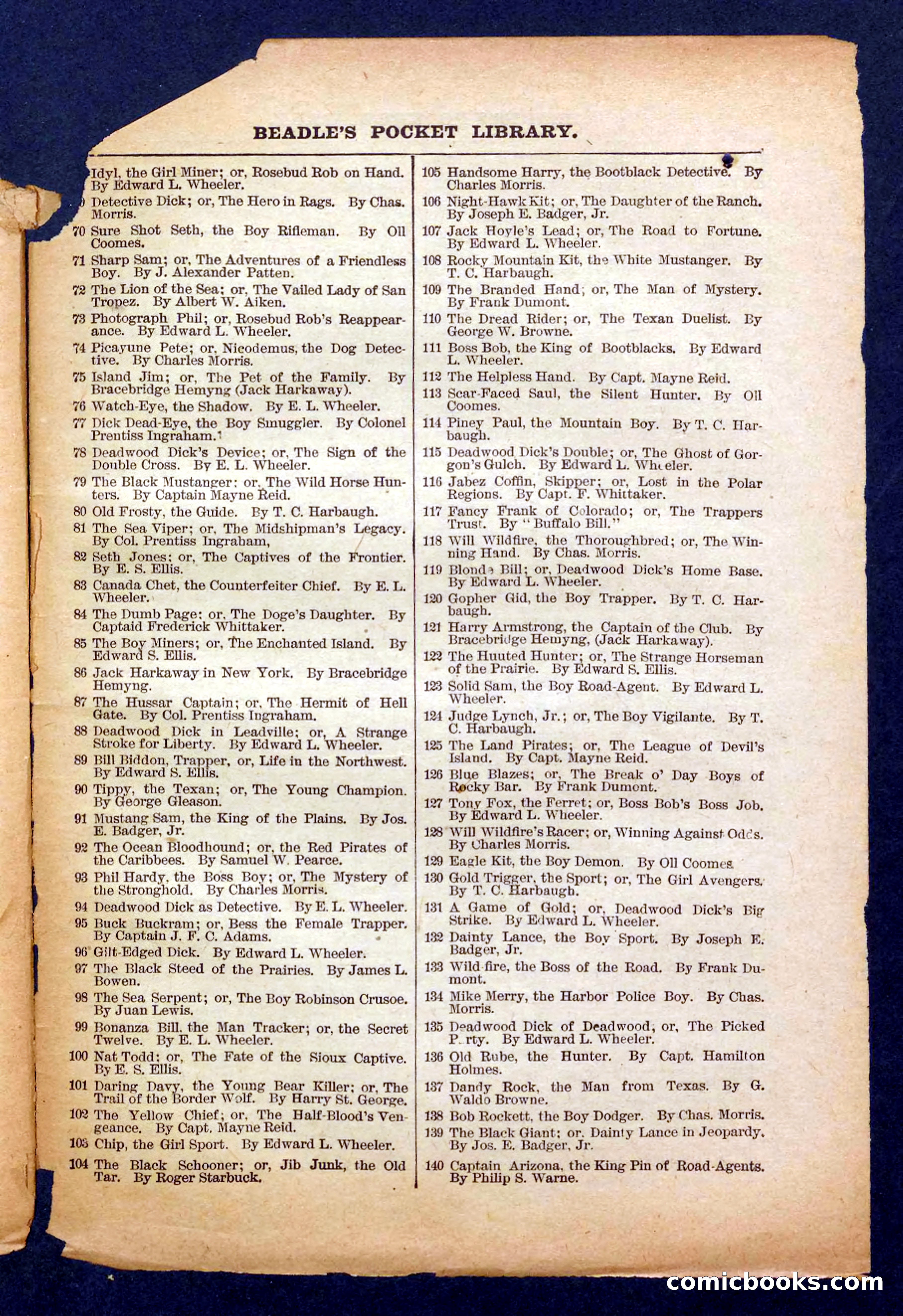 Beadle's Pocket Library No. 370 — page 29 of 32