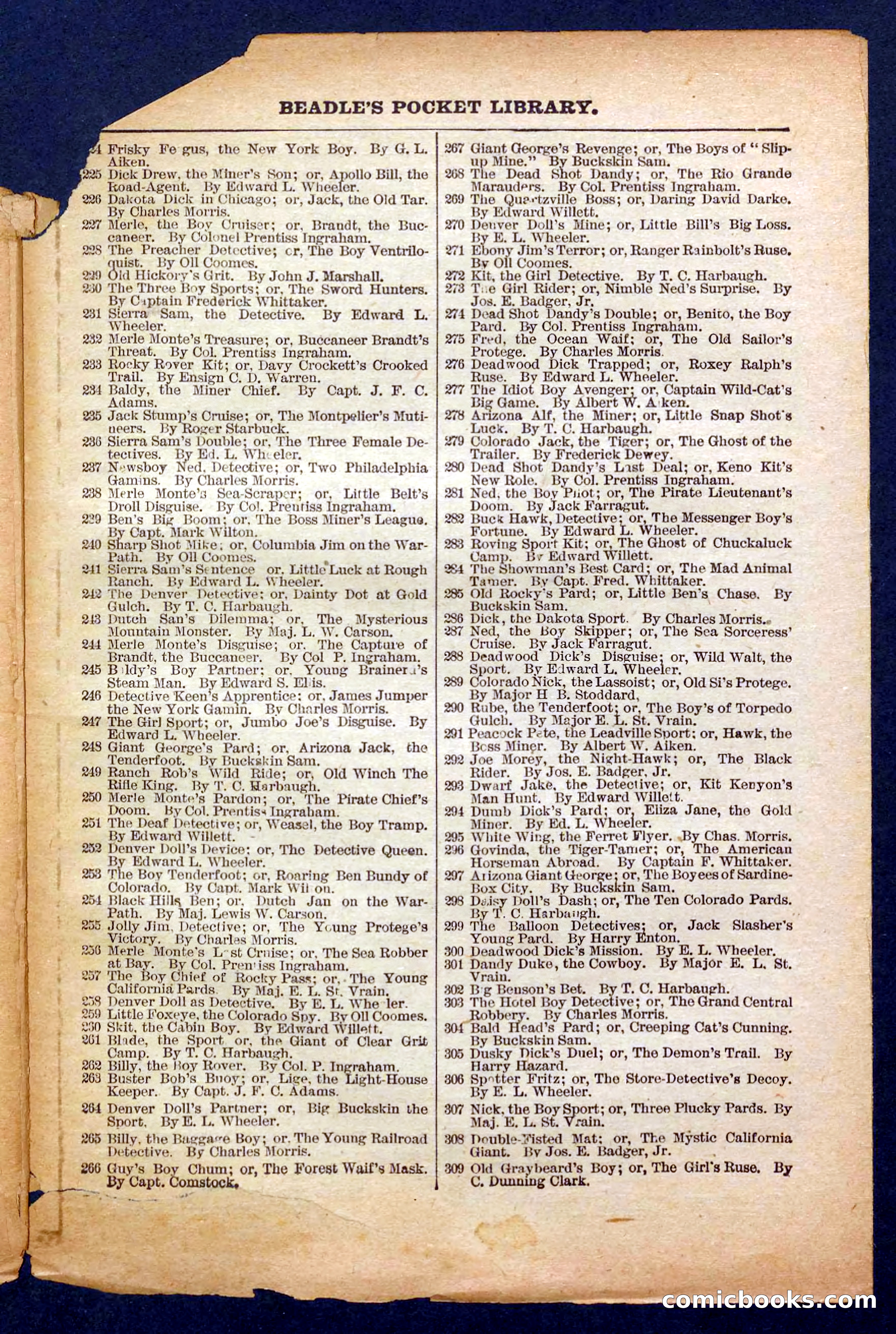 Beadle's Pocket Library No. 370 — page 31 of 32