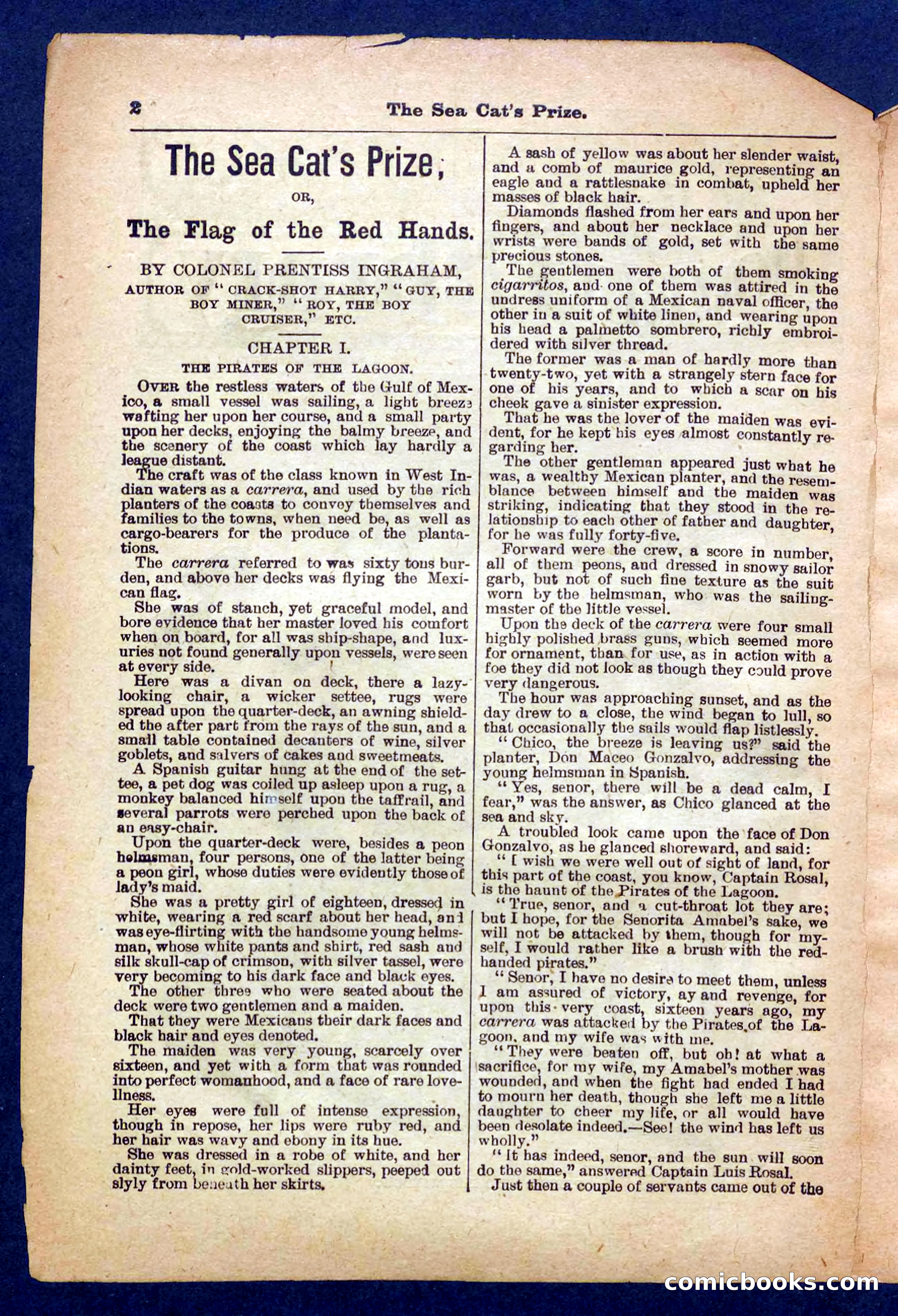 Beadle's Pocket Library No. 372 — page 2 of 32
