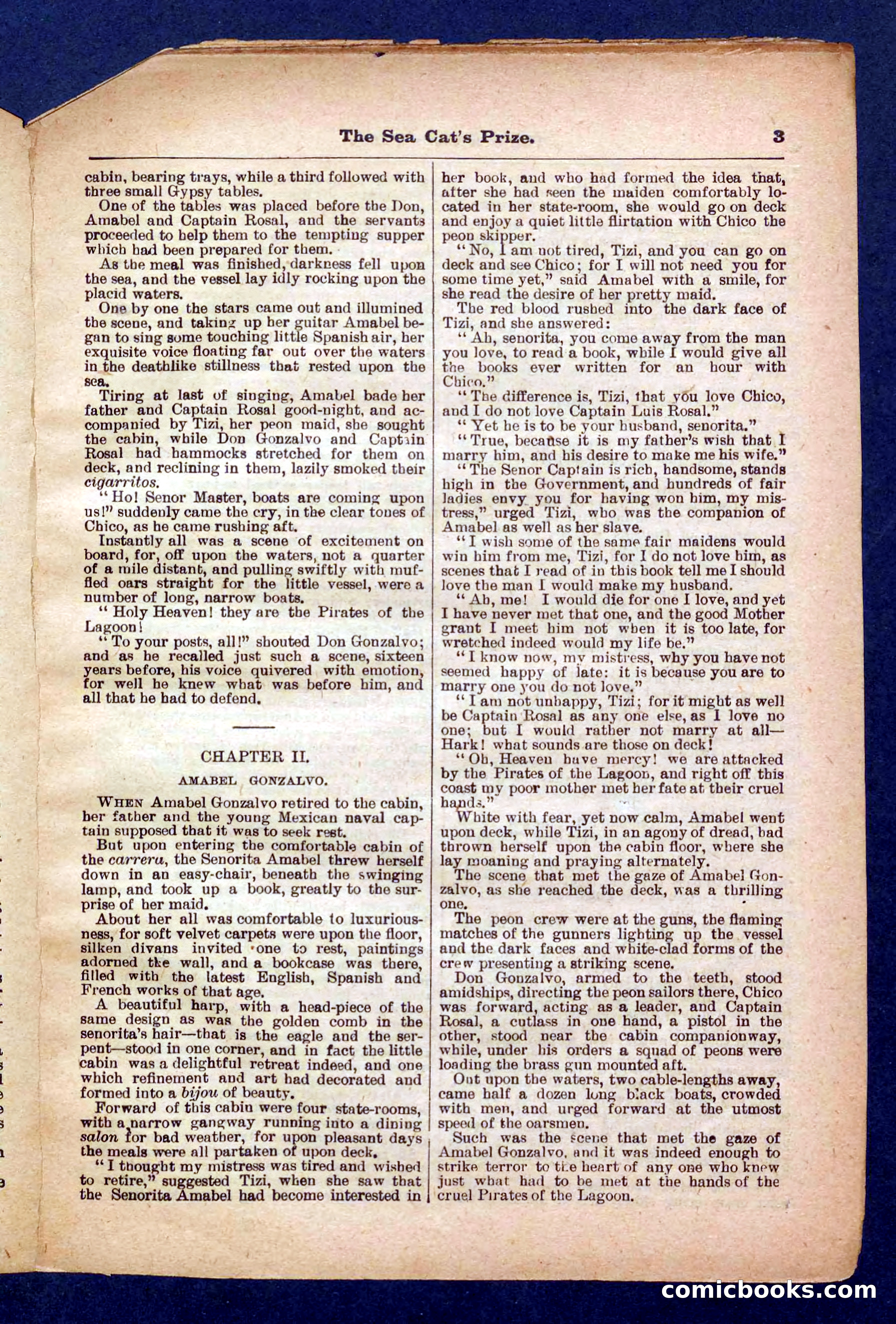 Beadle's Pocket Library No. 372 — page 3 of 32
