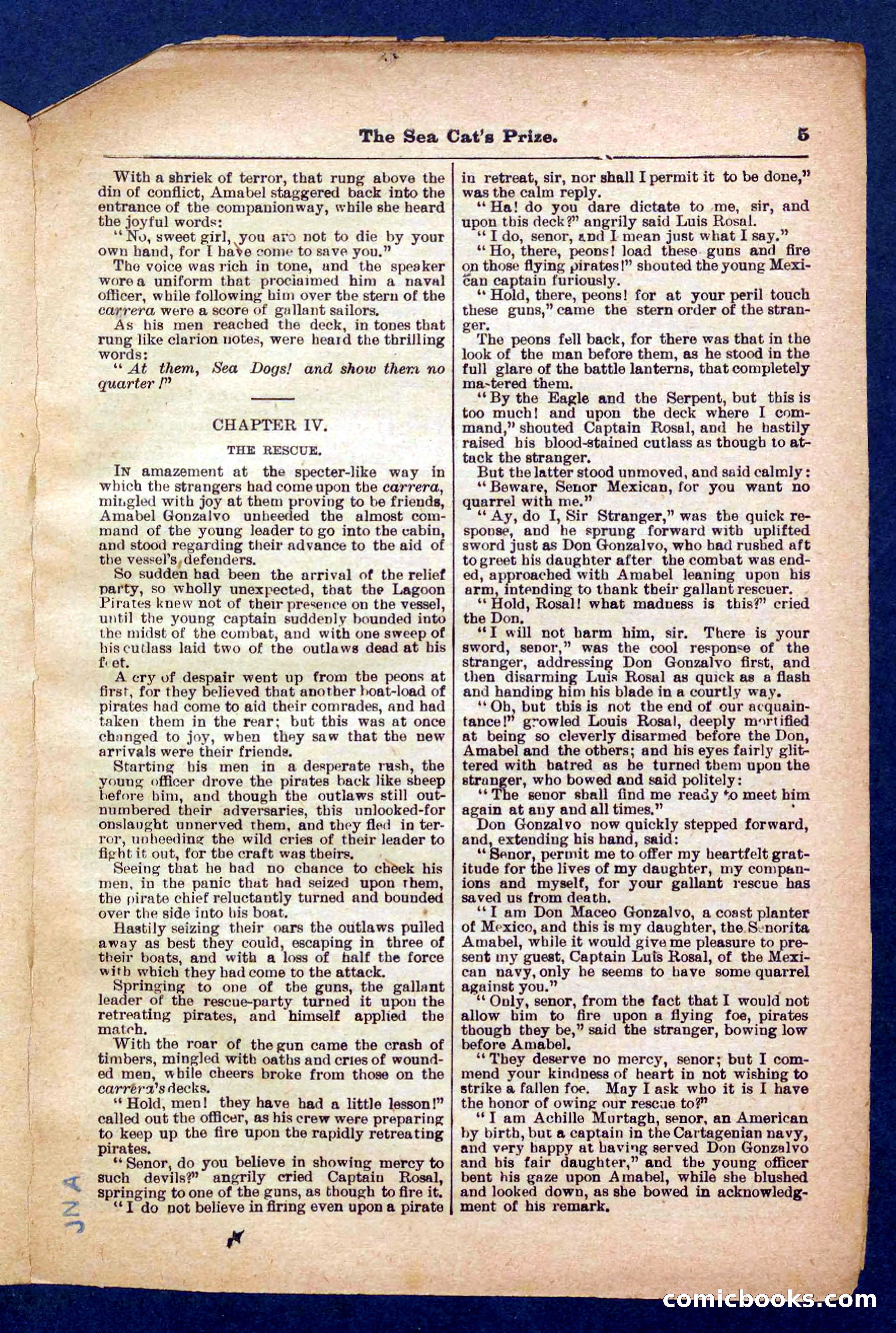 Beadle's Pocket Library No. 372 — page 5 of 32