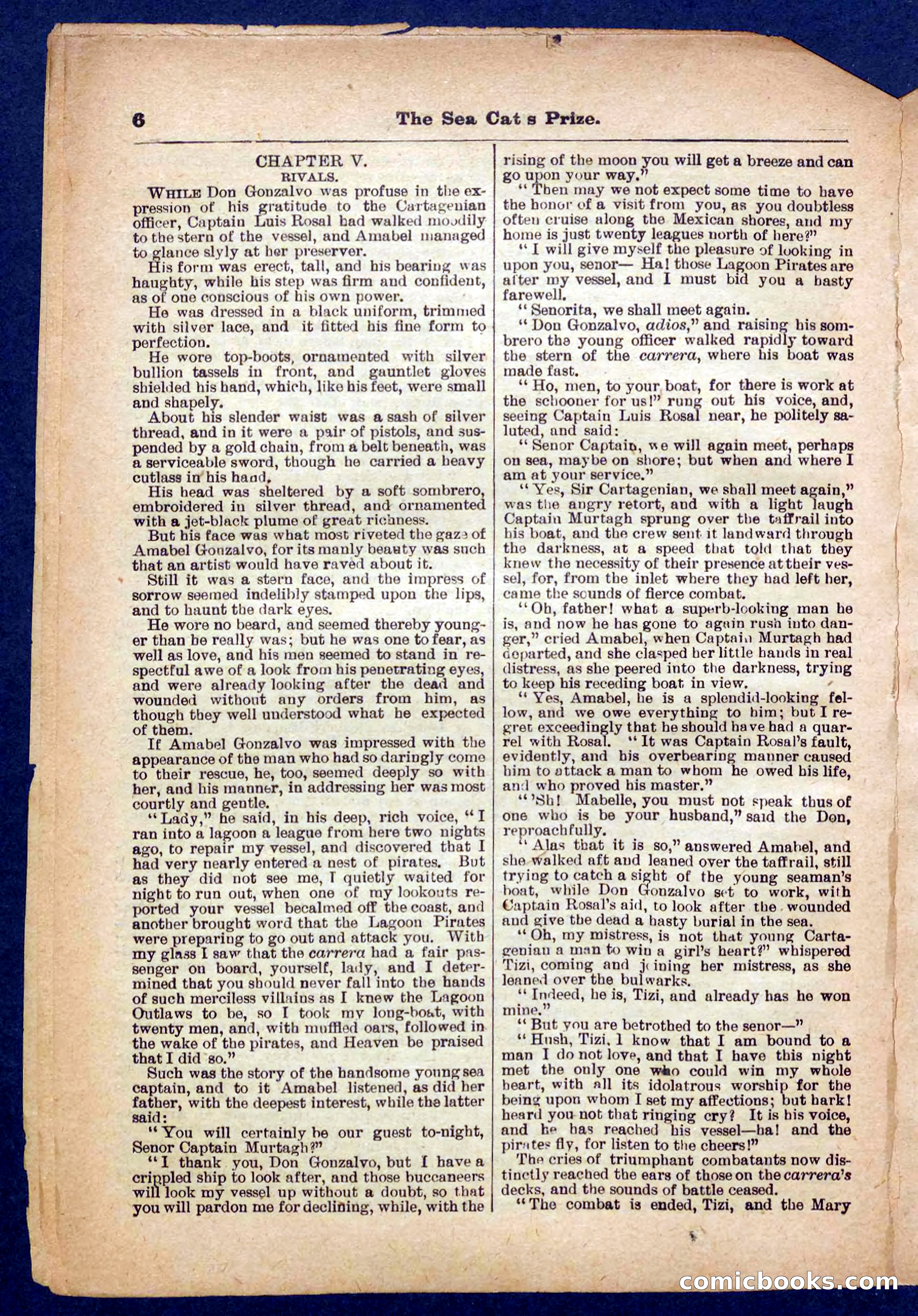 Beadle's Pocket Library No. 372 — page 6 of 32
