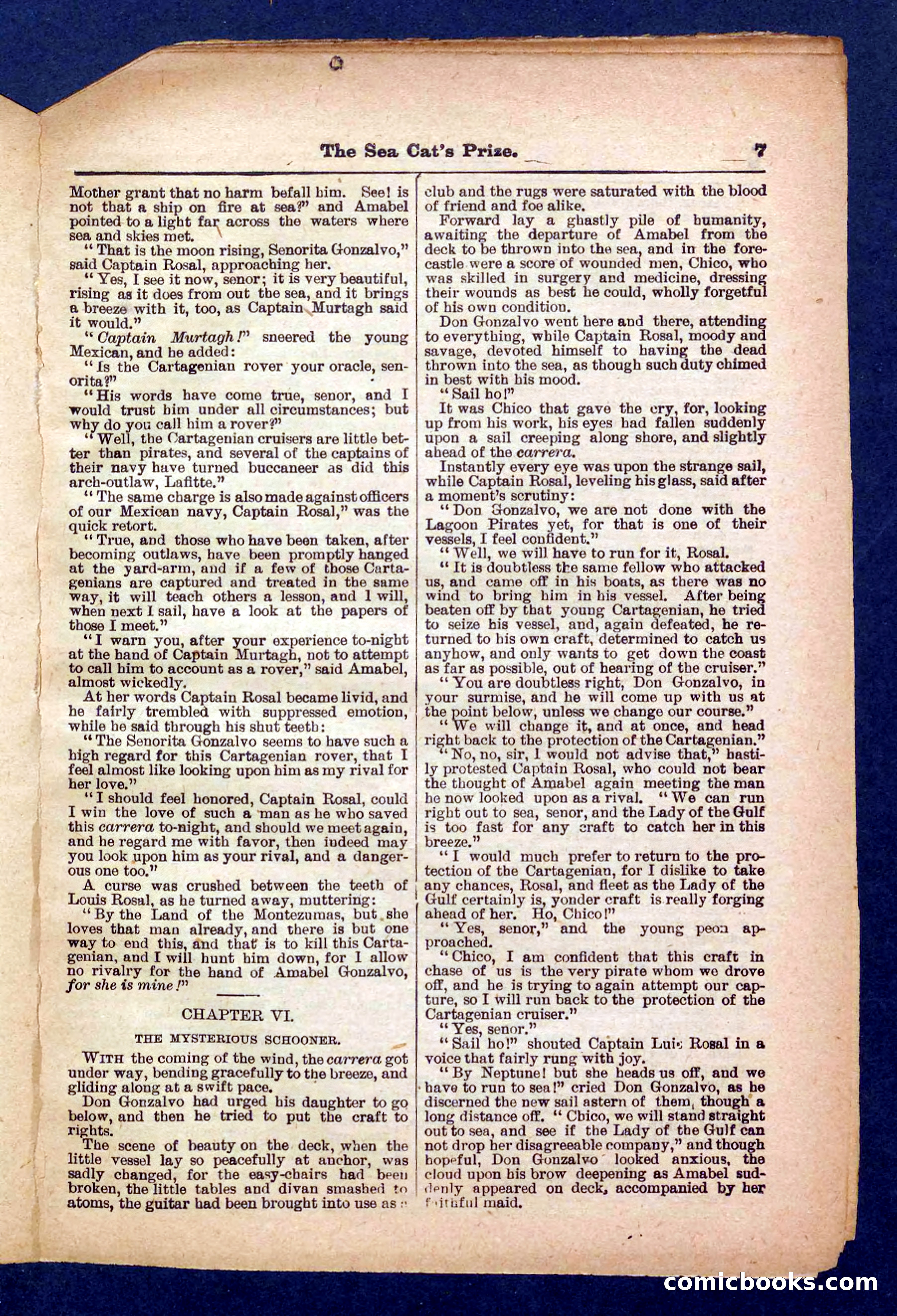 Beadle's Pocket Library No. 372 — page 7 of 32