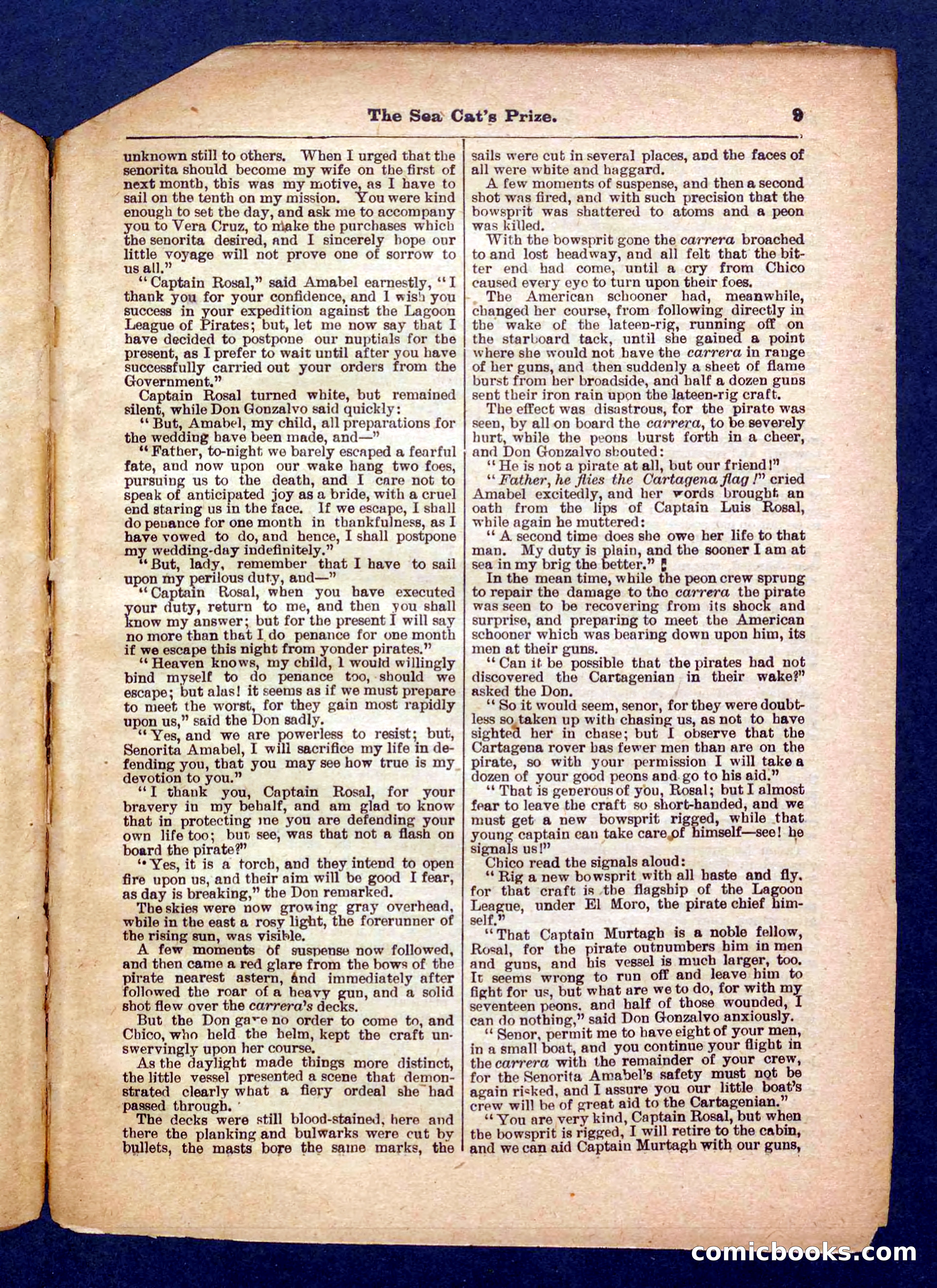 Beadle's Pocket Library No. 372 — page 9 of 32