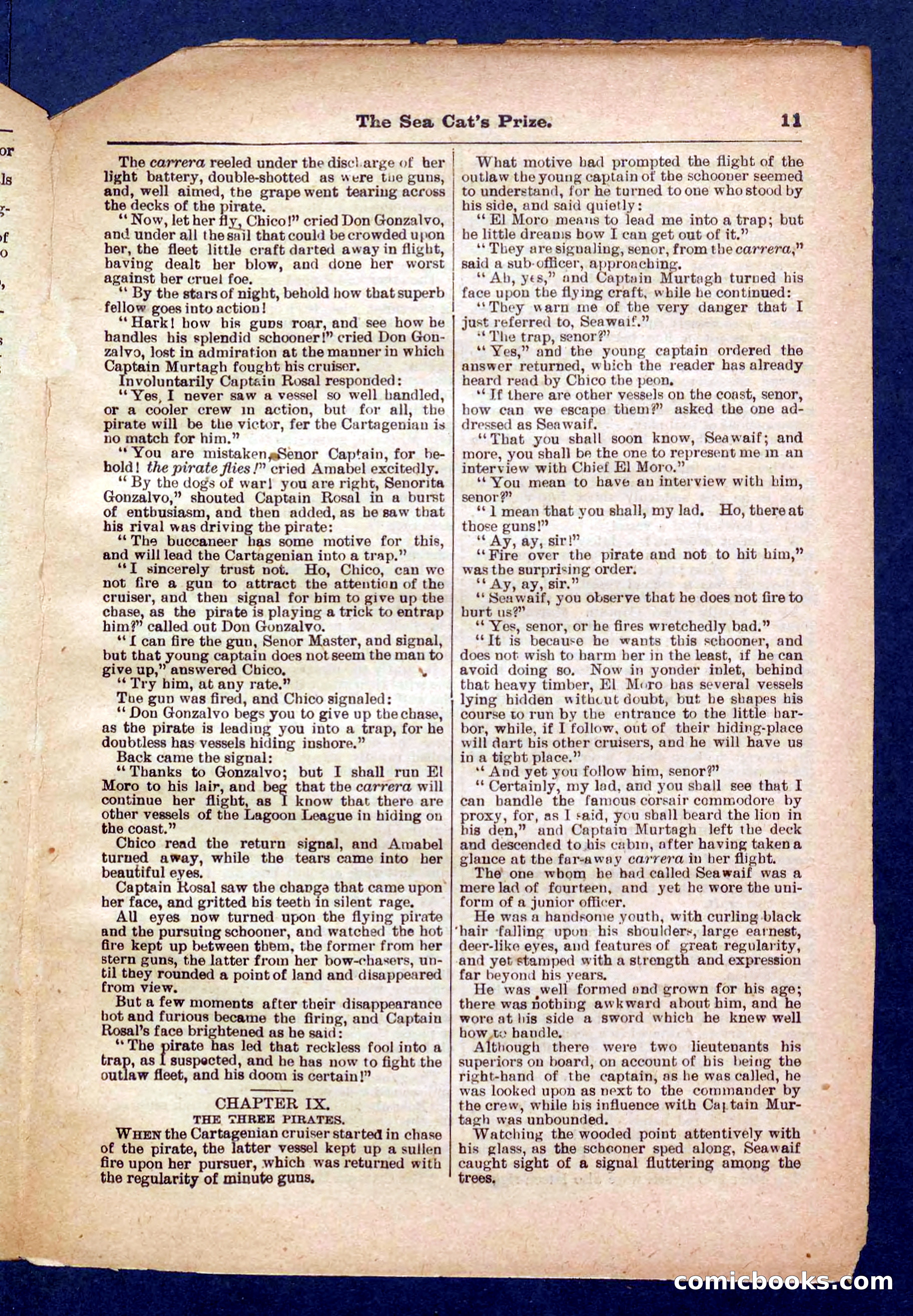 Beadle's Pocket Library No. 372 — page 11 of 32