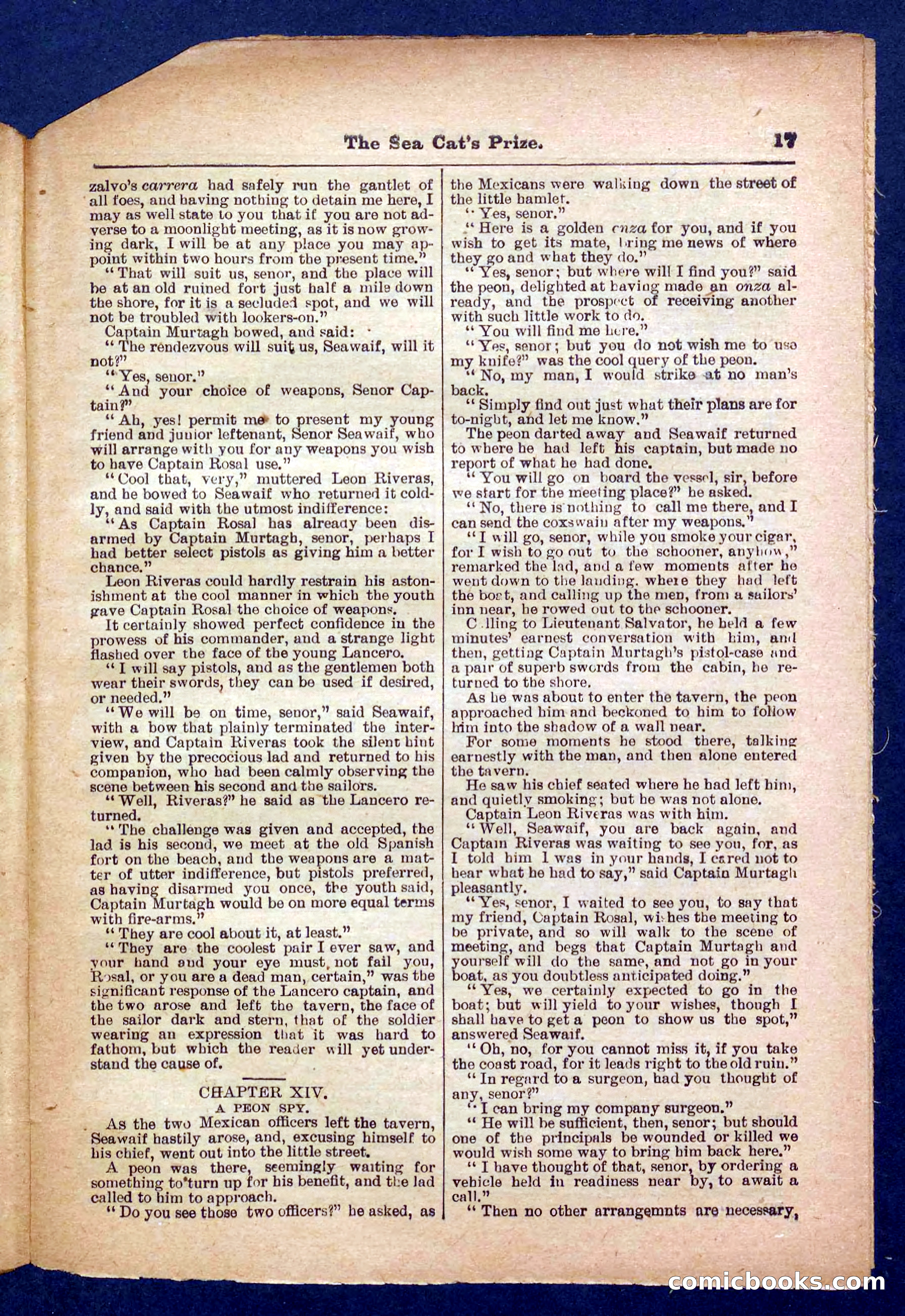 Beadle's Pocket Library No. 372 — page 17 of 32