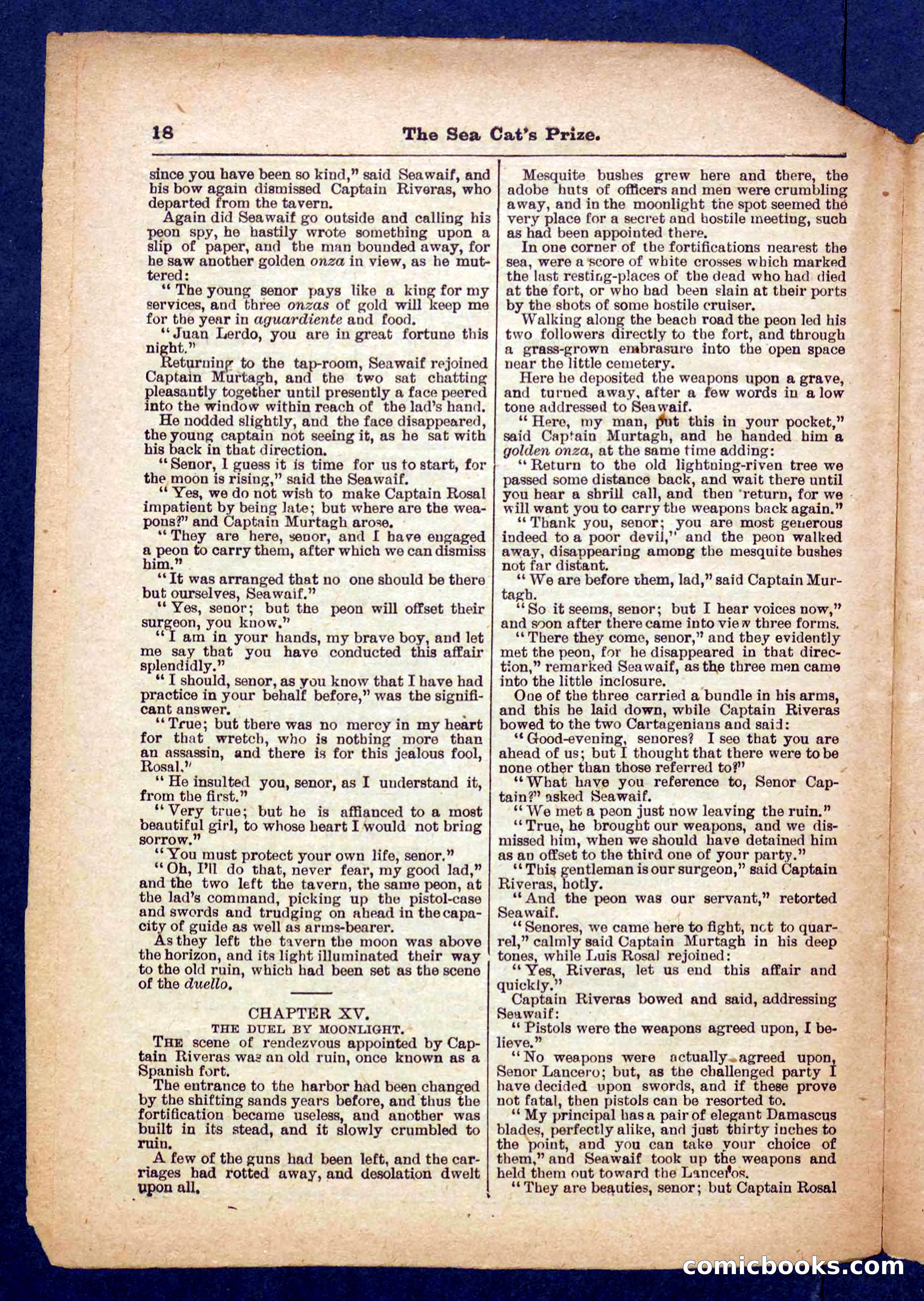 Beadle's Pocket Library No. 372 — page 18 of 32