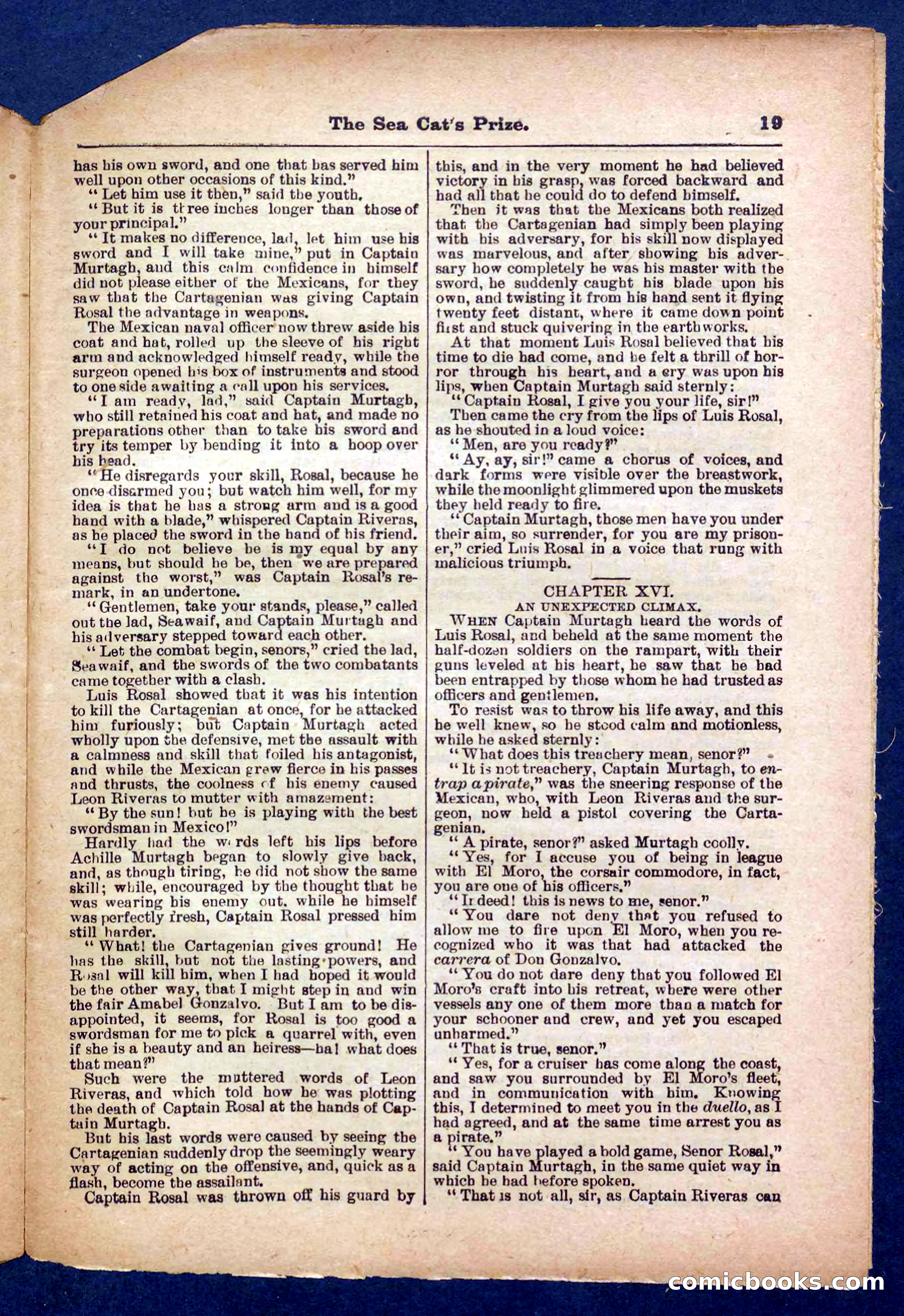 Beadle's Pocket Library No. 372 — page 19 of 32