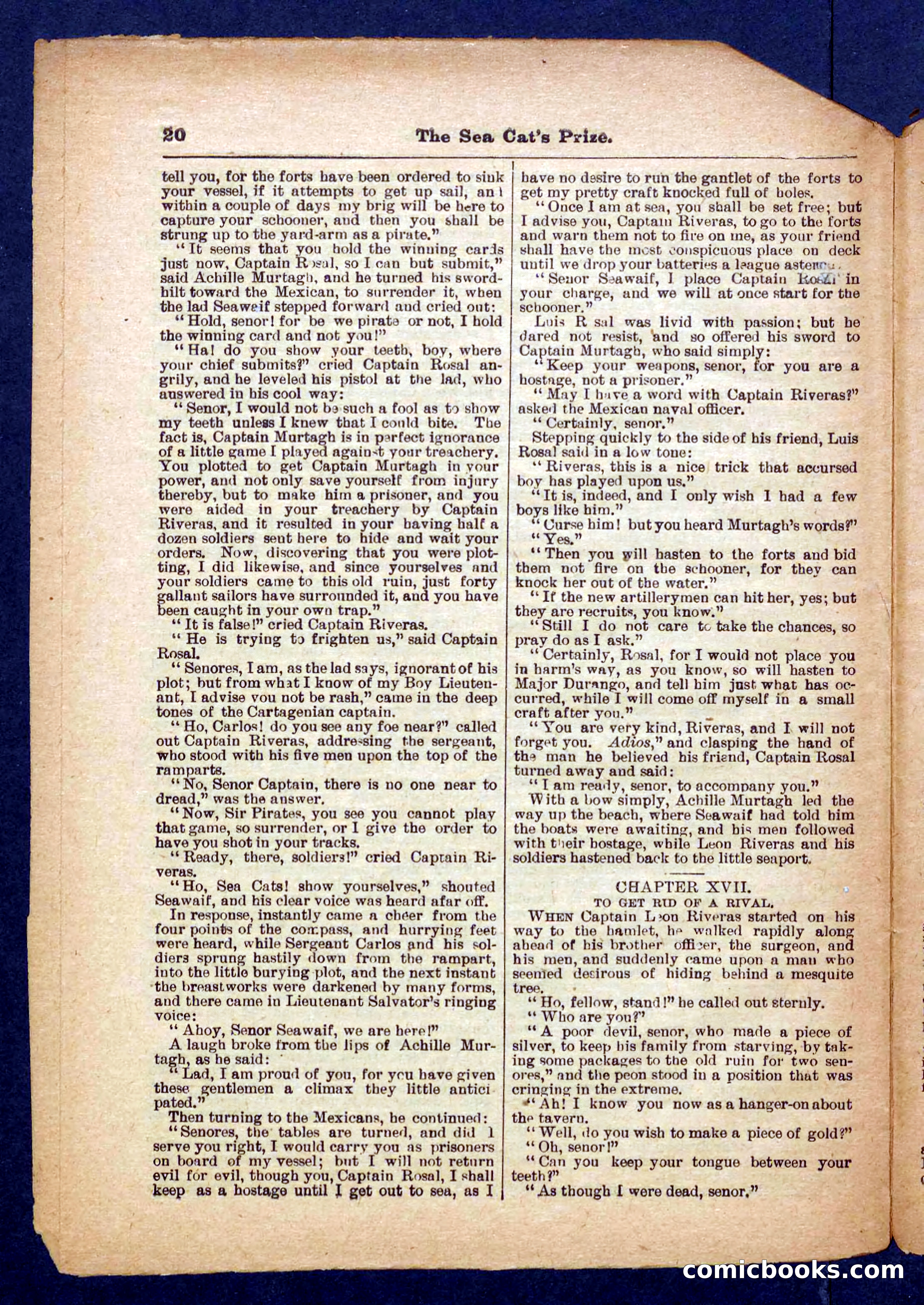 Beadle's Pocket Library No. 372 — page 20 of 32