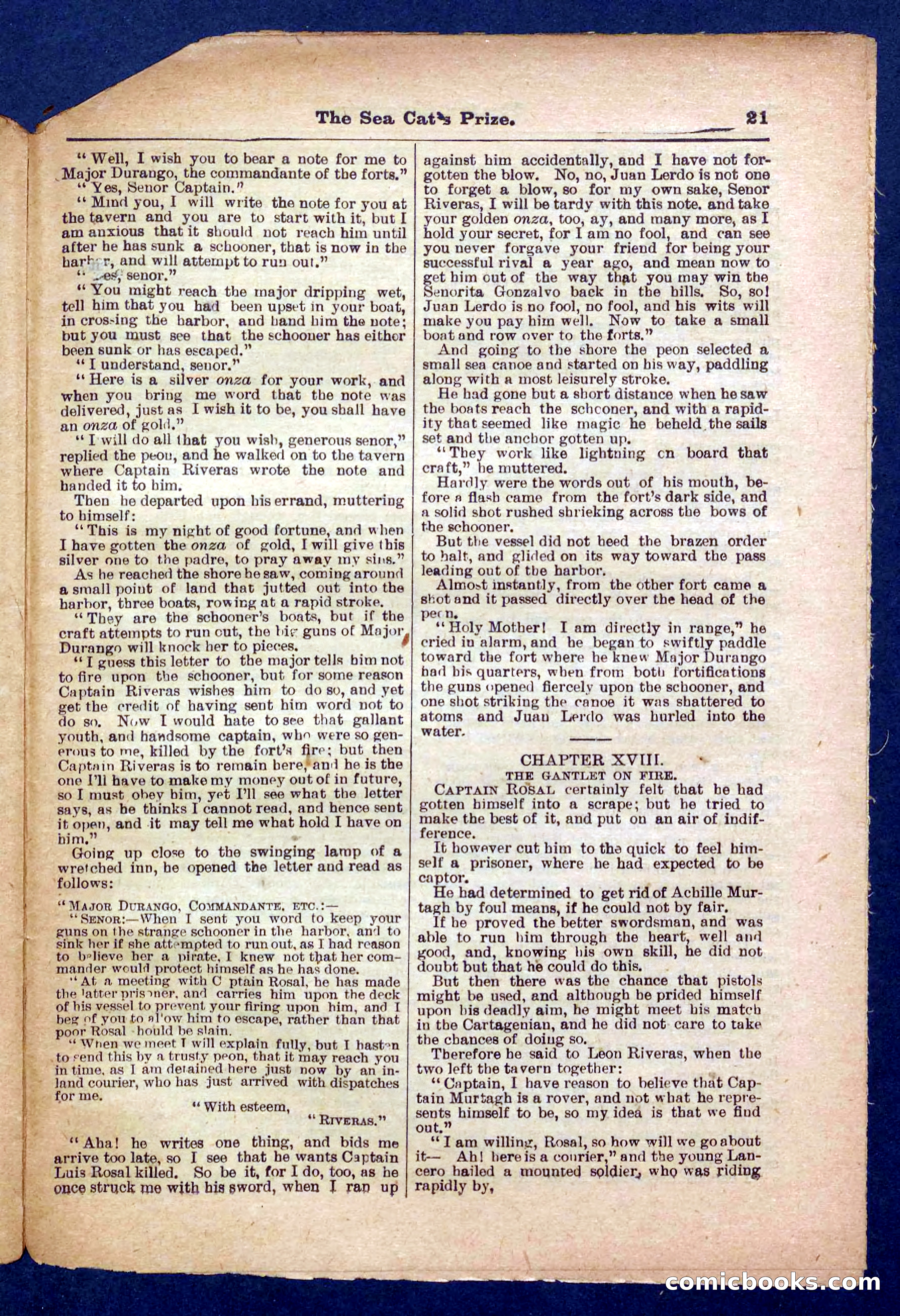 Beadle's Pocket Library No. 372 — page 21 of 32